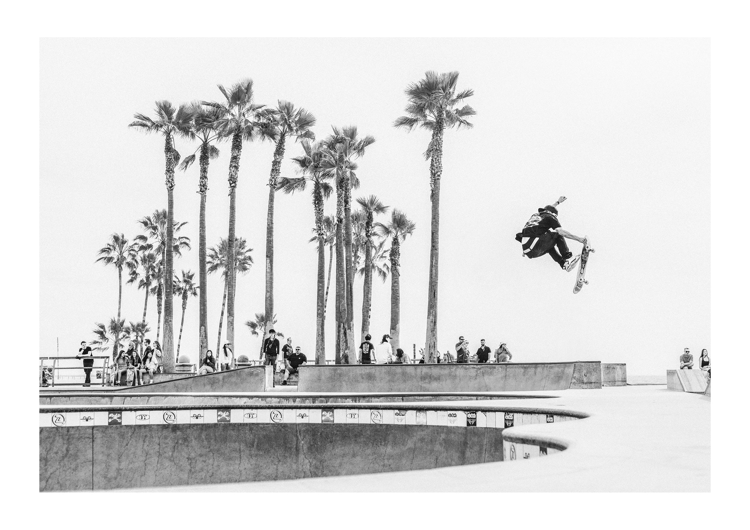 Venice Momentum