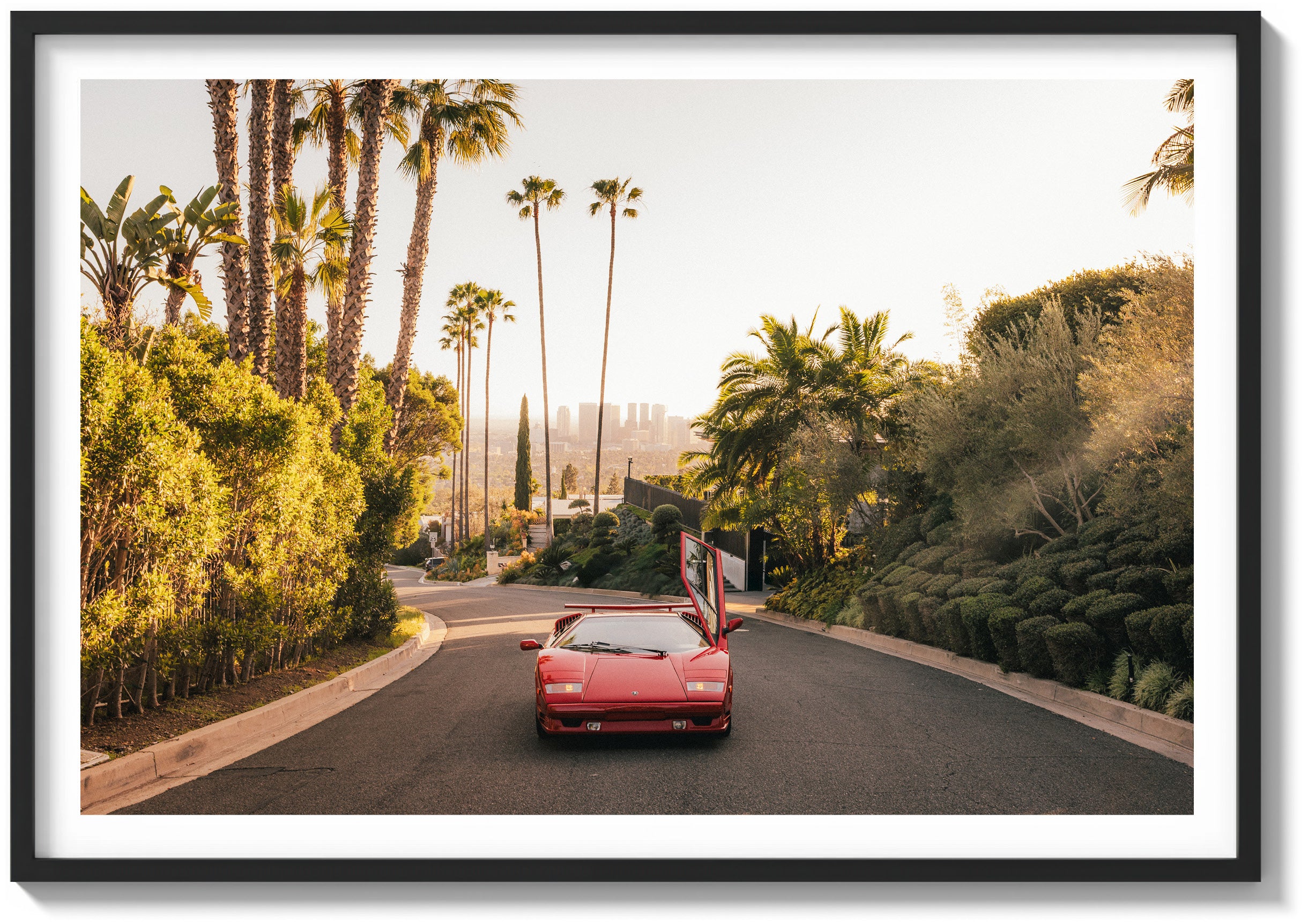 The Hills & The City Beyond