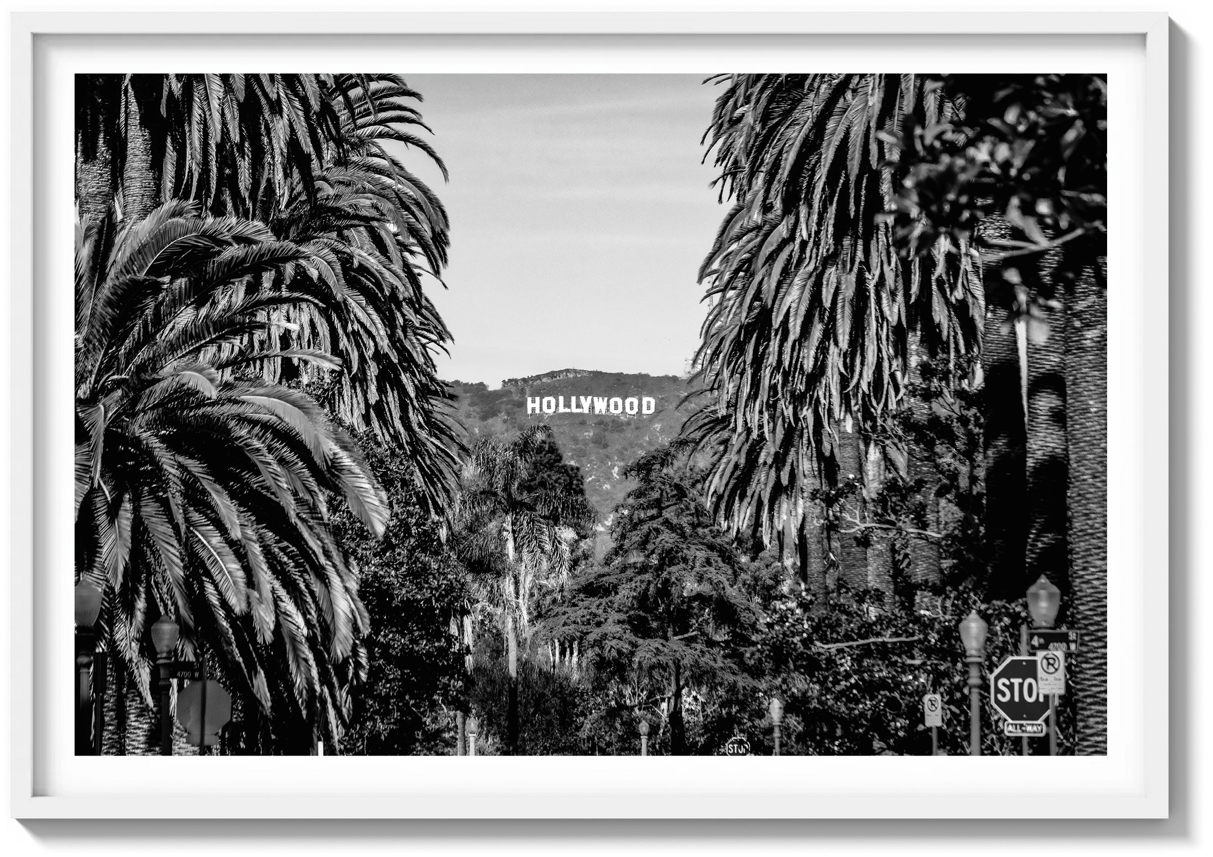 Palm View