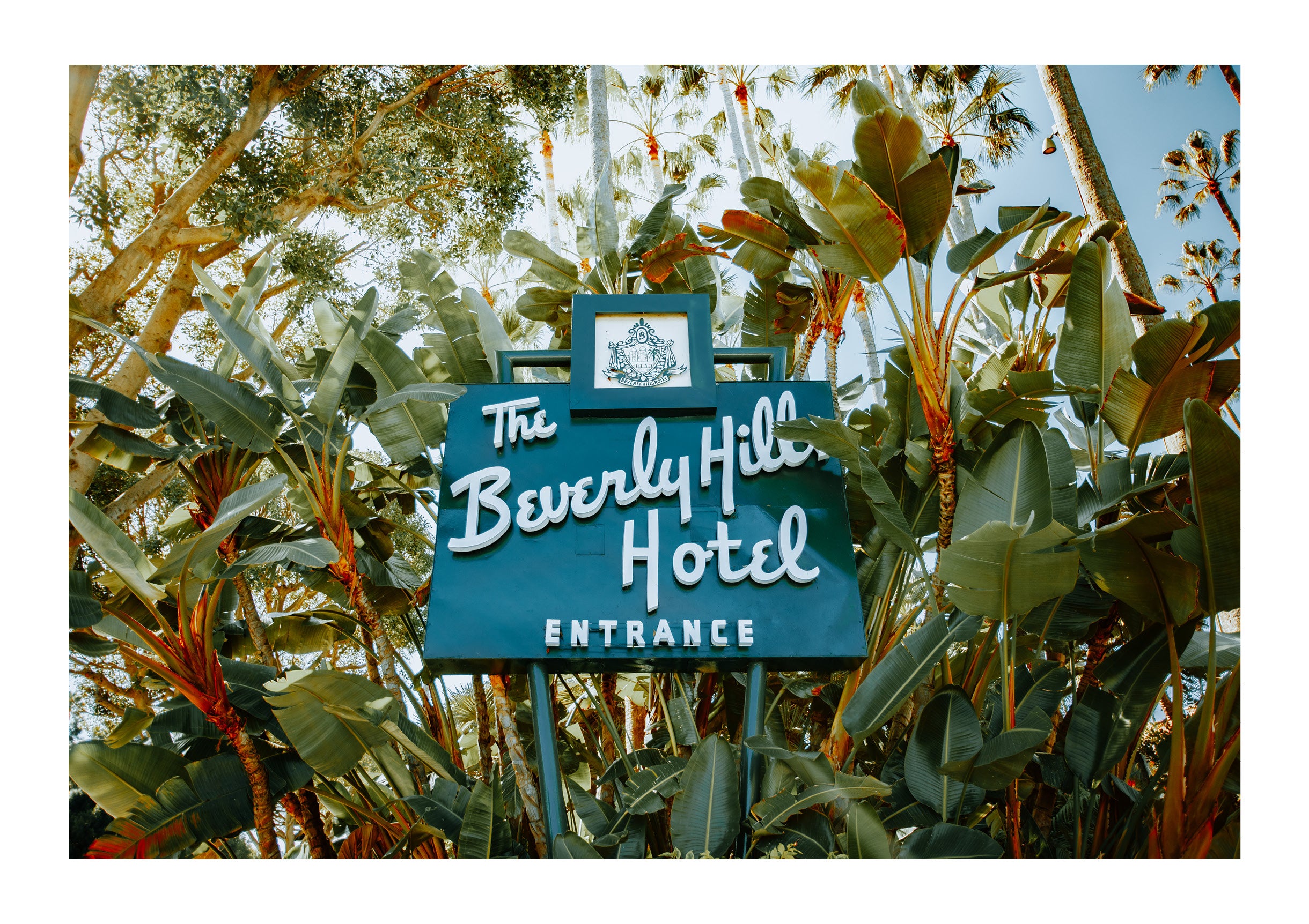 Beverly Hills Retreat