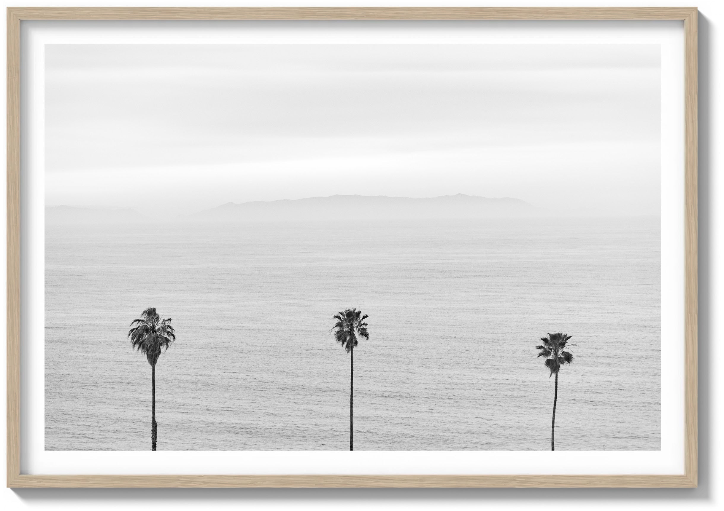 Faded Horizon