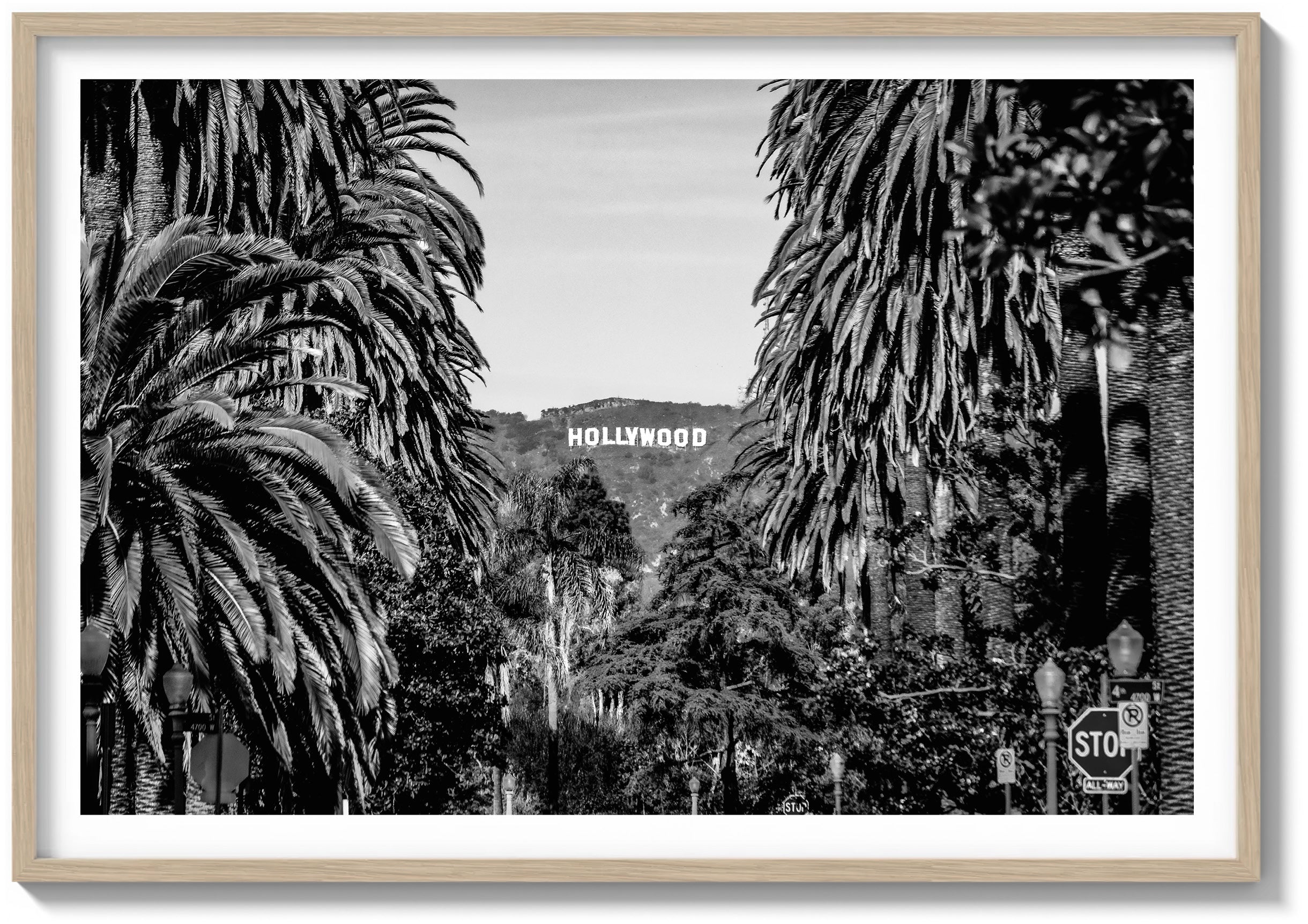 Palm View