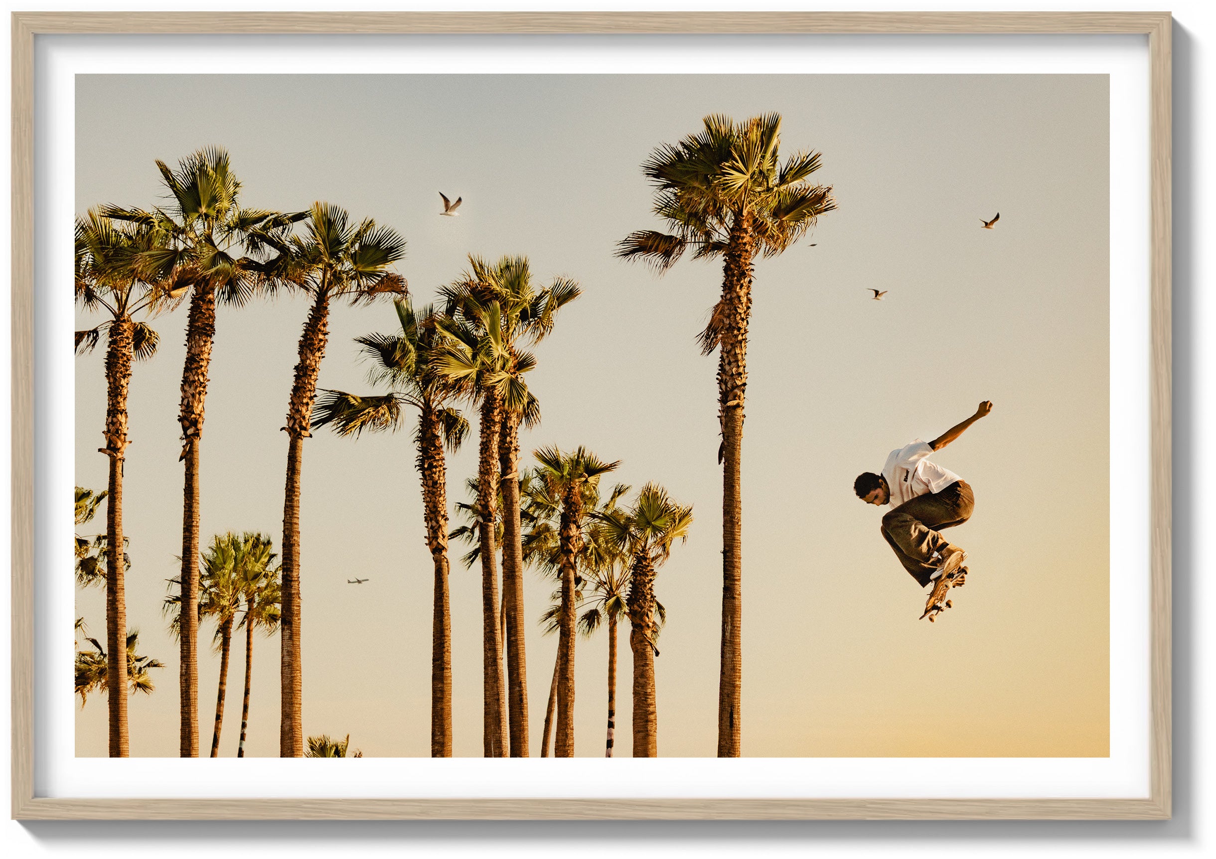 Flight In The Palms