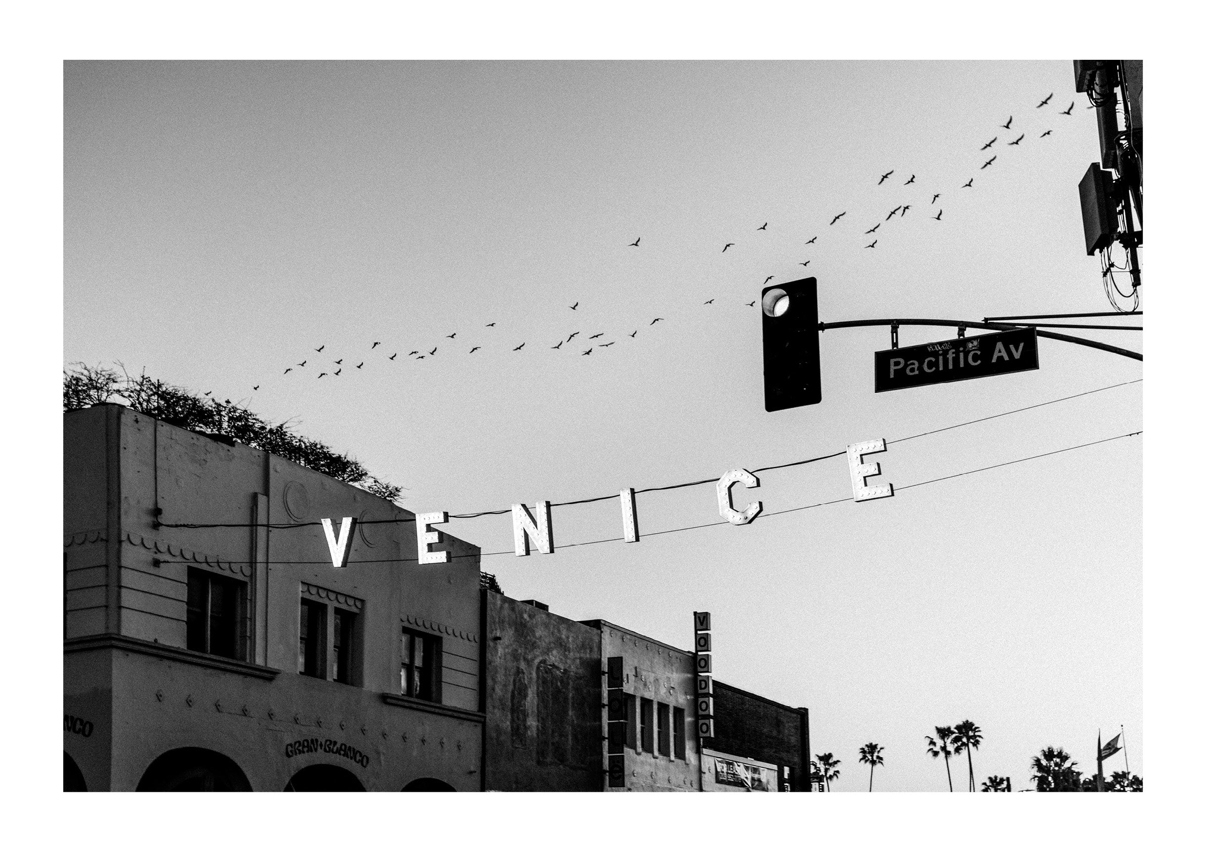 Dreaming of Venice