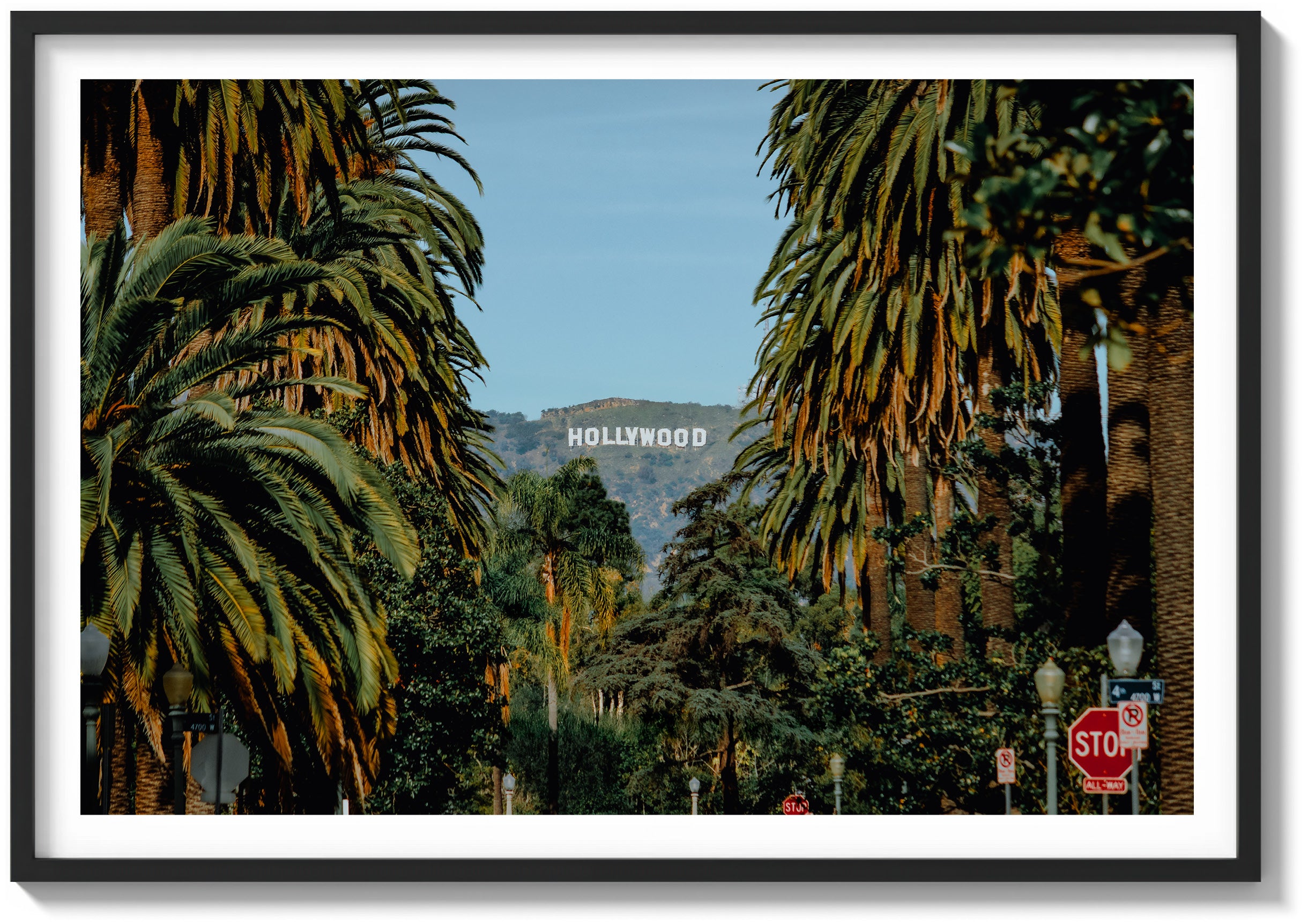 Palm View