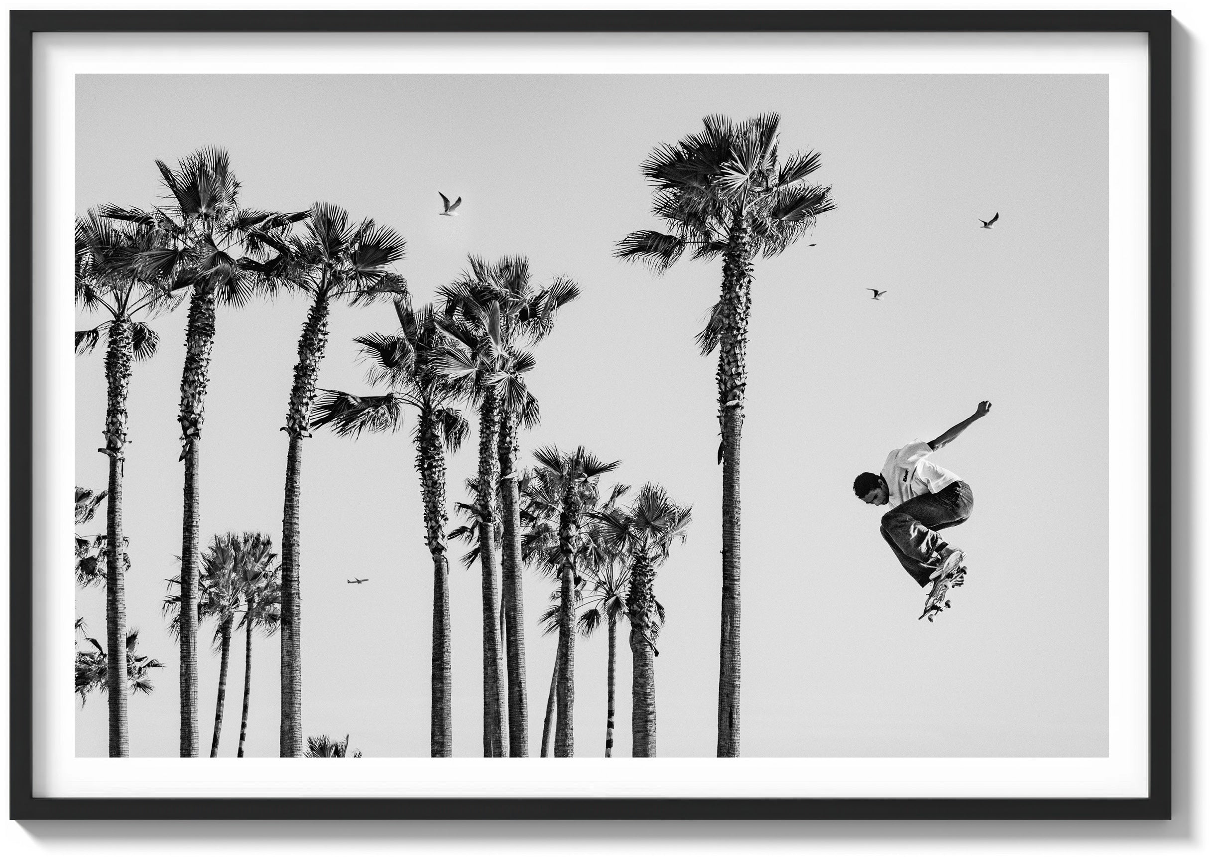 Flight In The Palms
