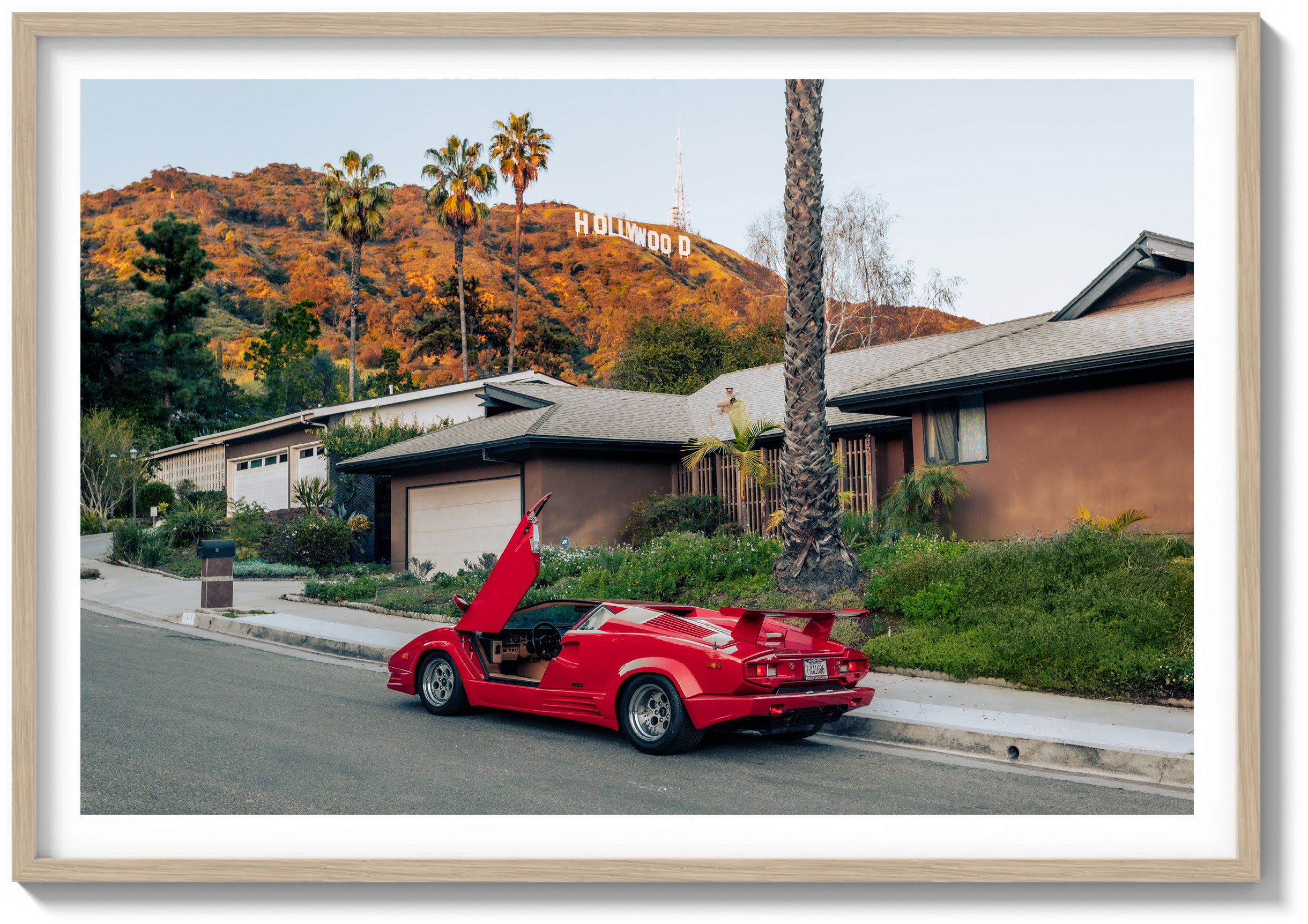 Hollywood Magic