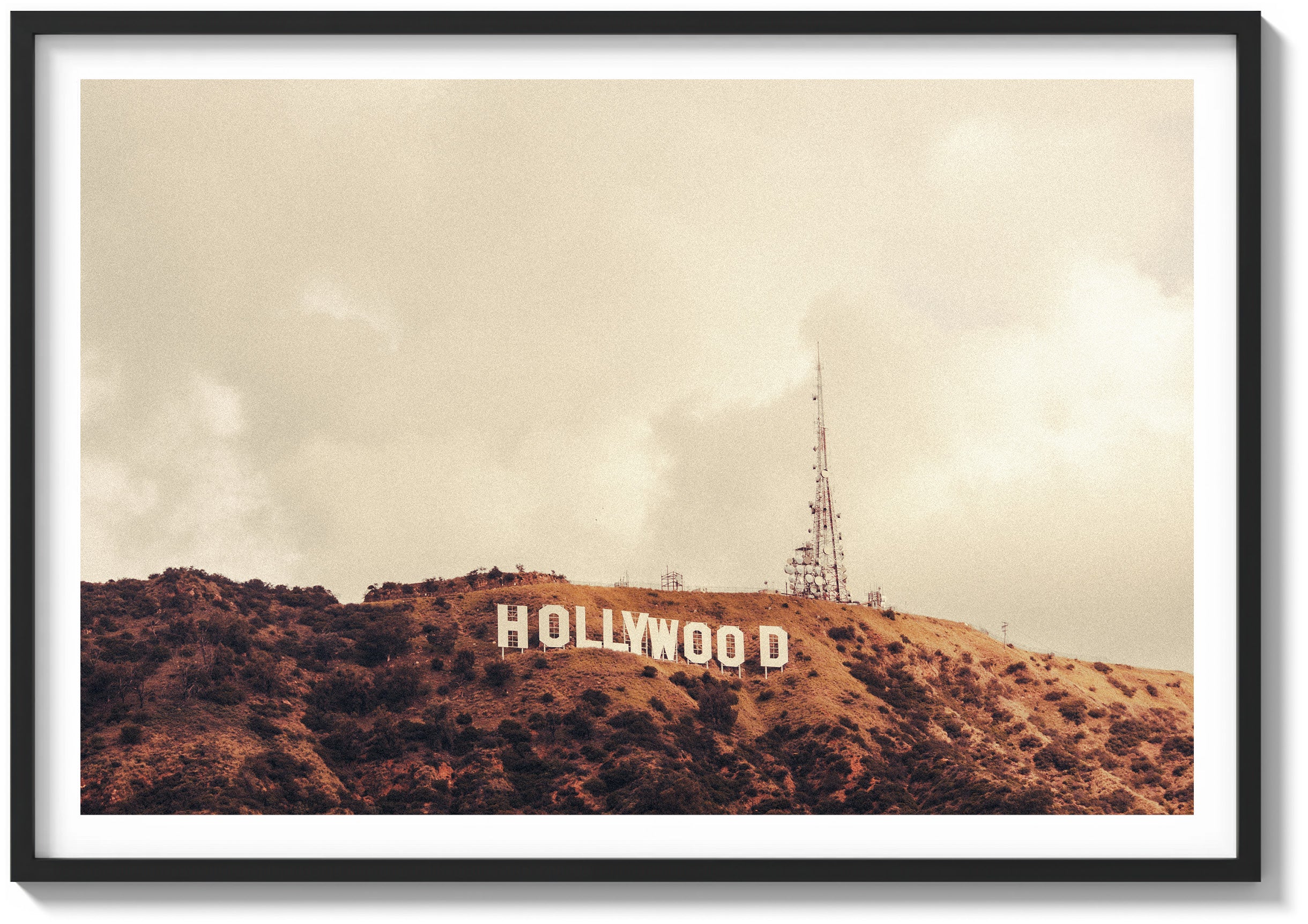 Hollywood Haze