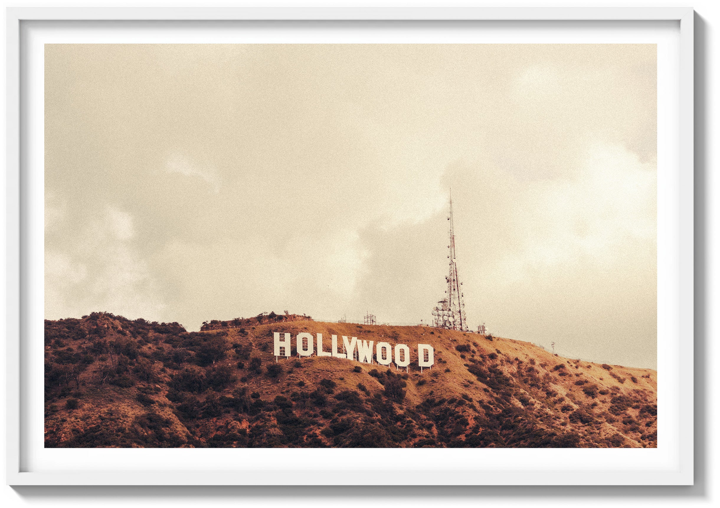 Hollywood Haze