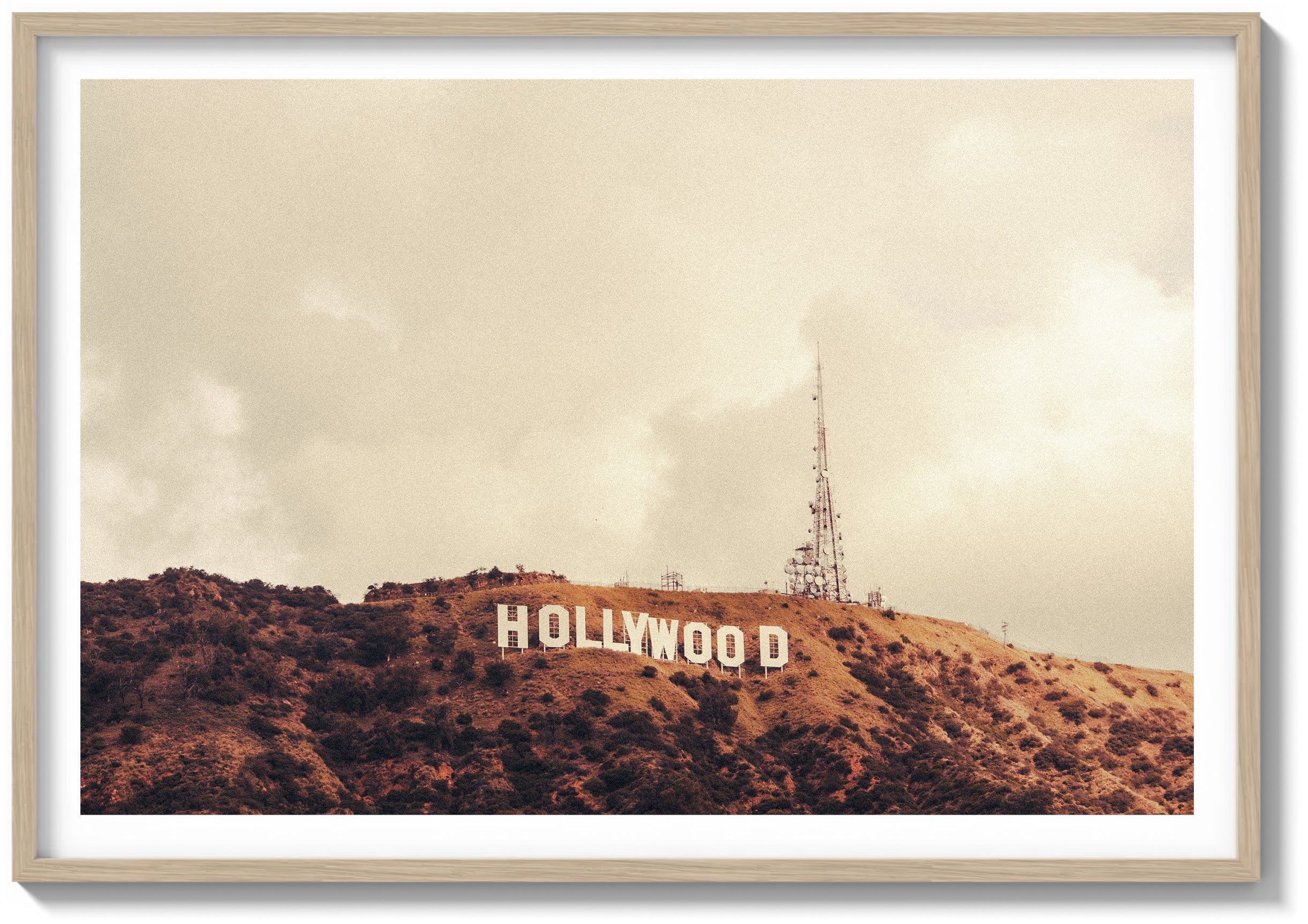 Hollywood Haze