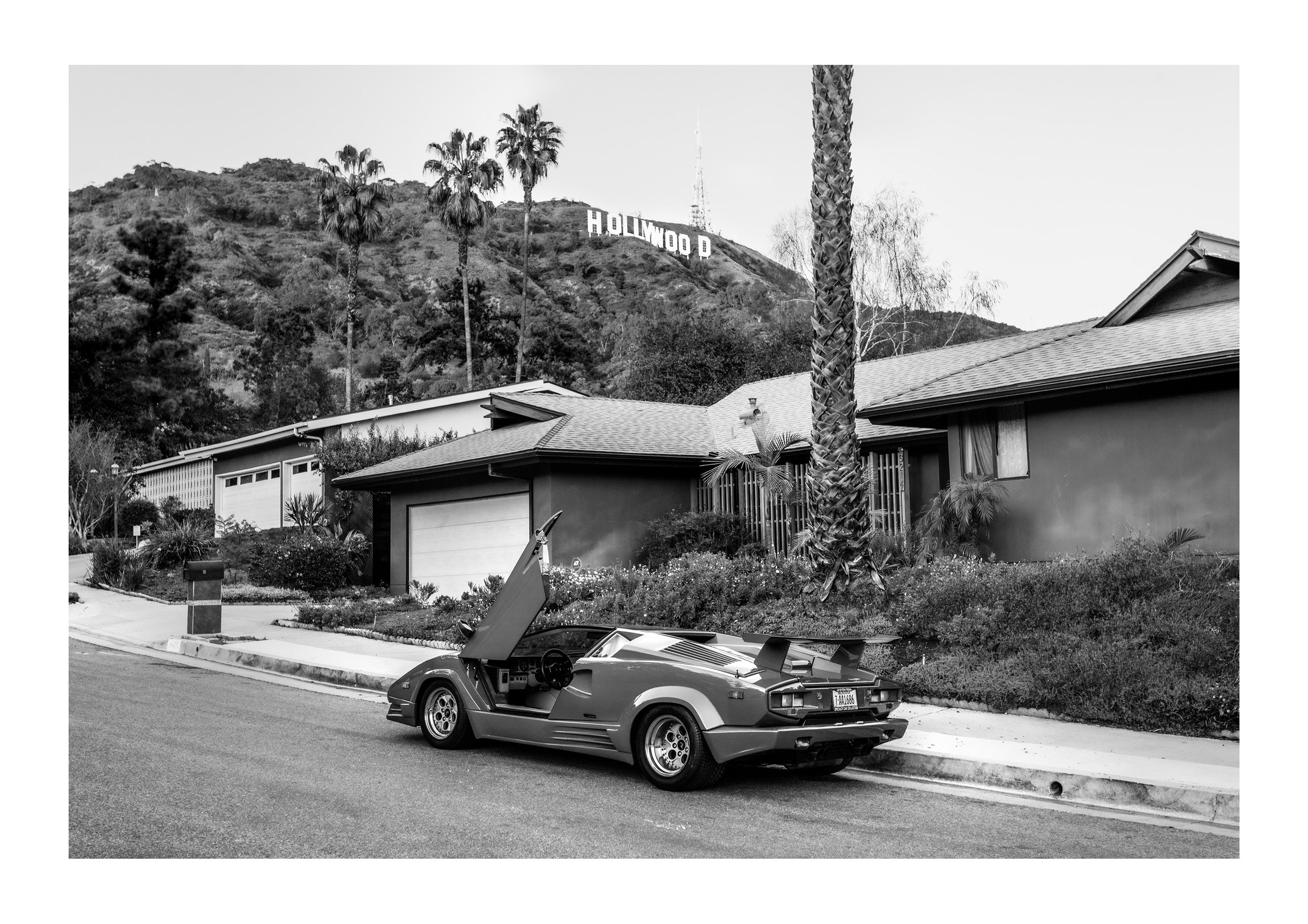 Hollywood Magic