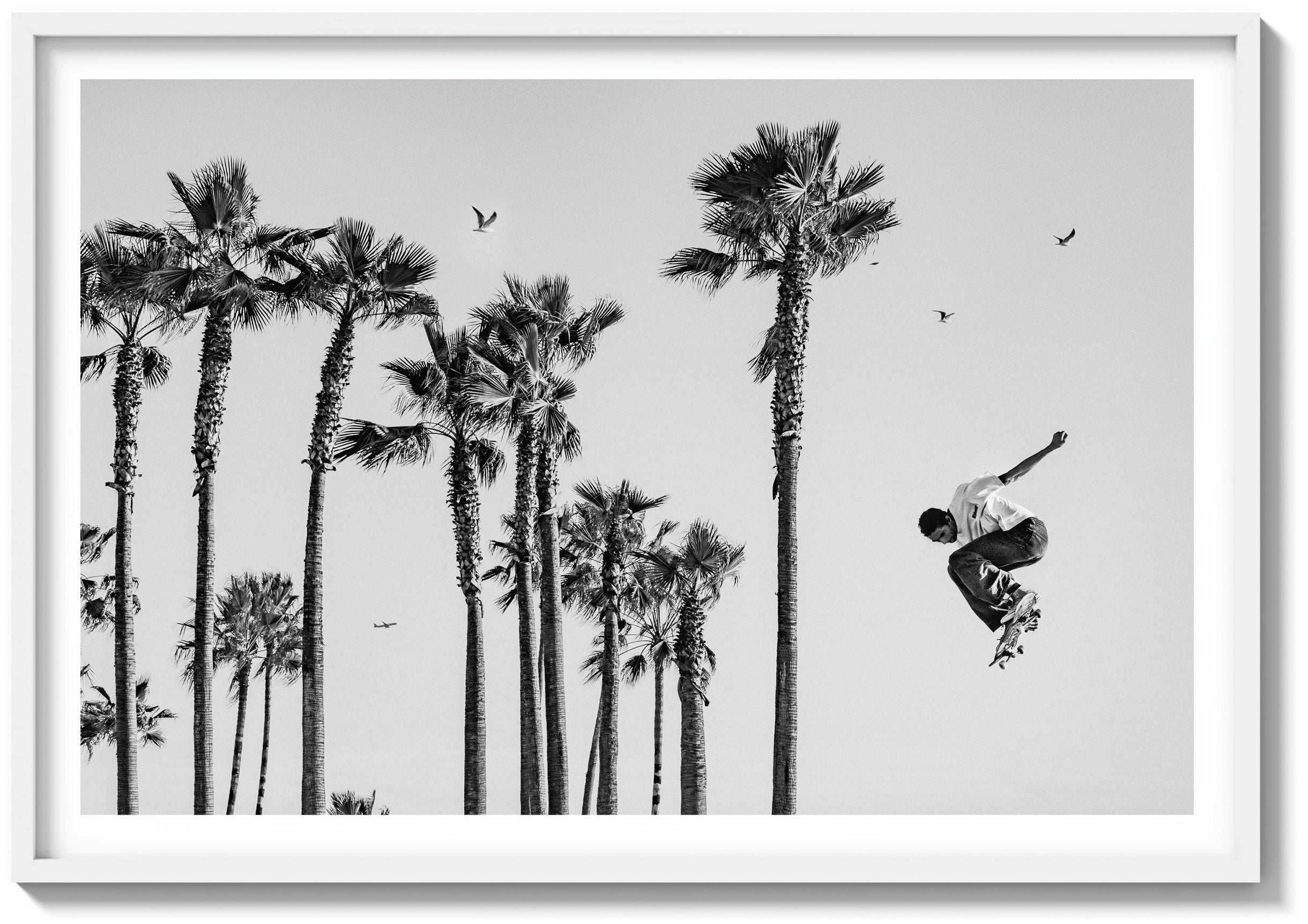 Flight In The Palms