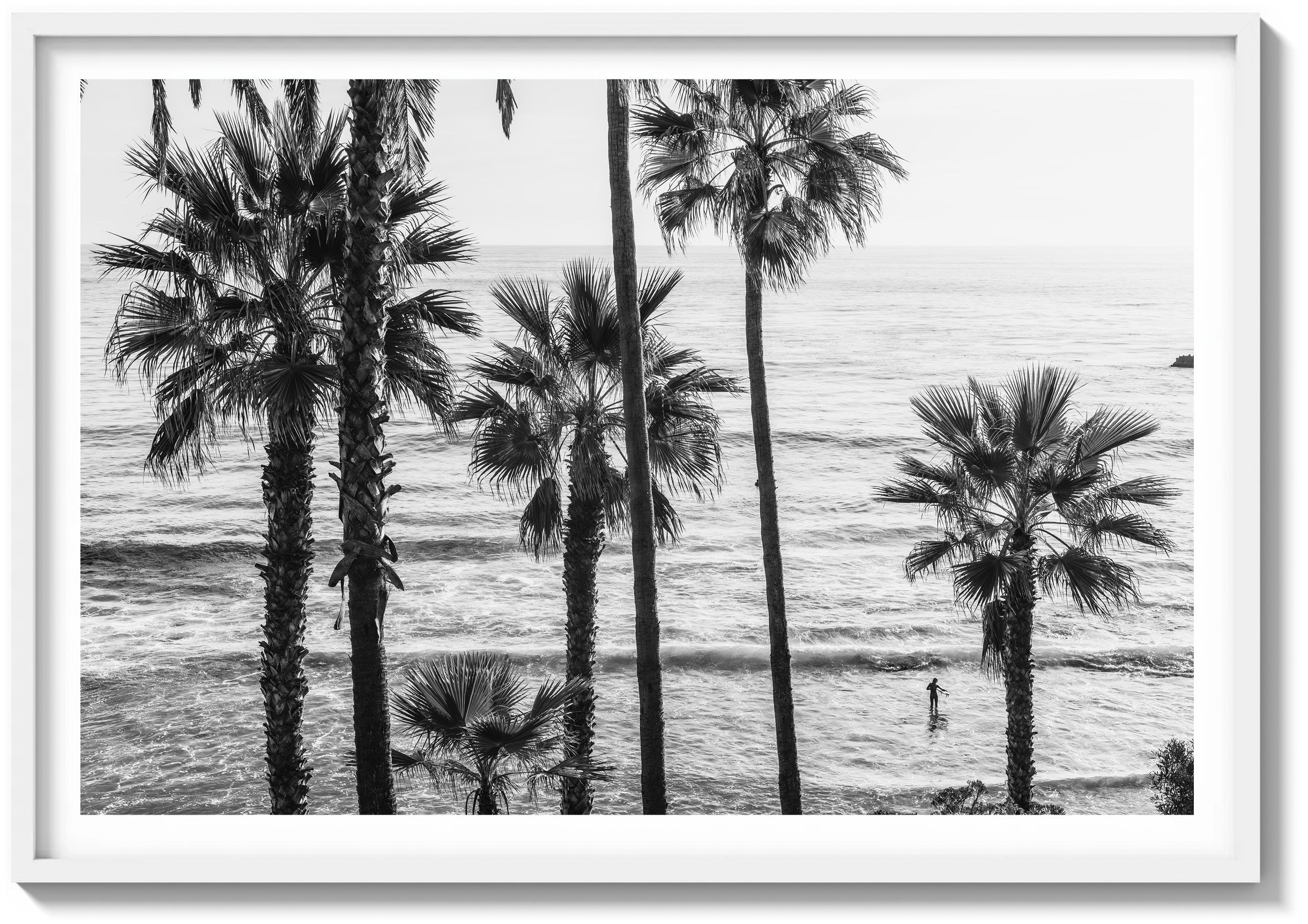 Laguna Surf