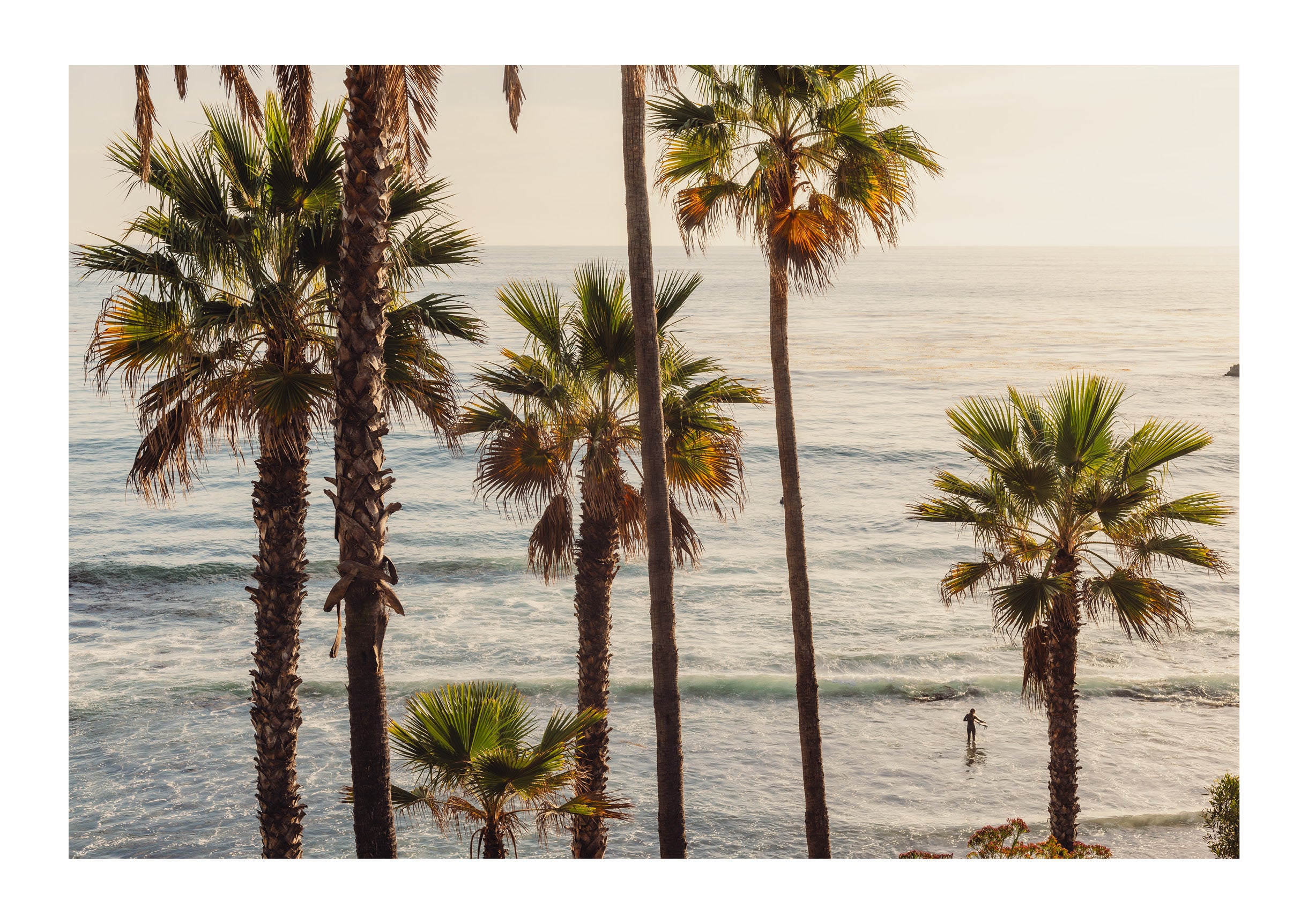 Laguna Surf