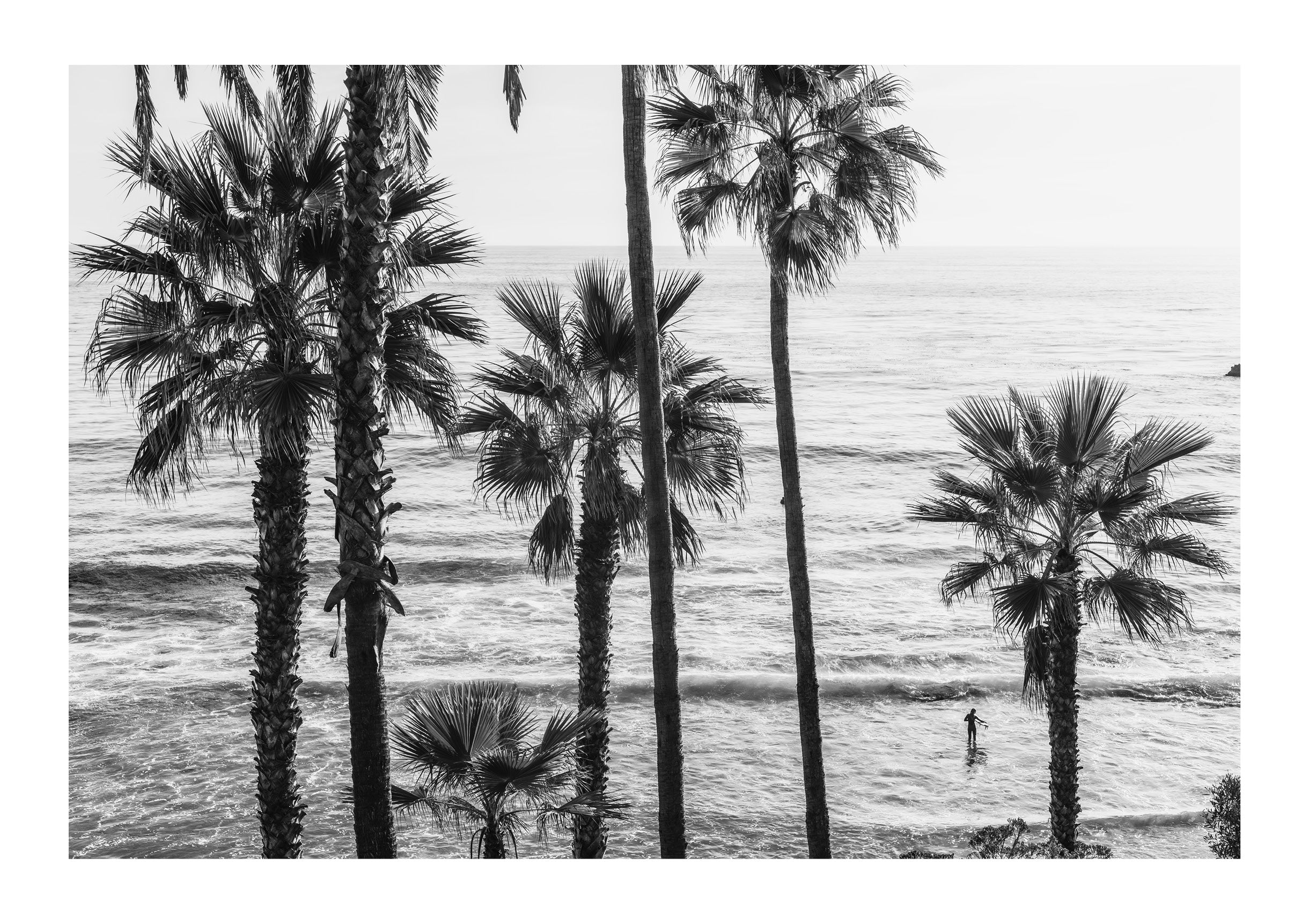 Laguna Surf