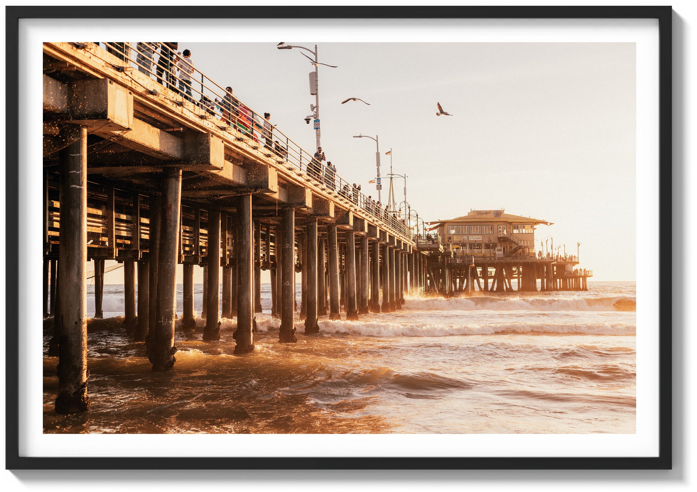 The Pier & The Ocean
