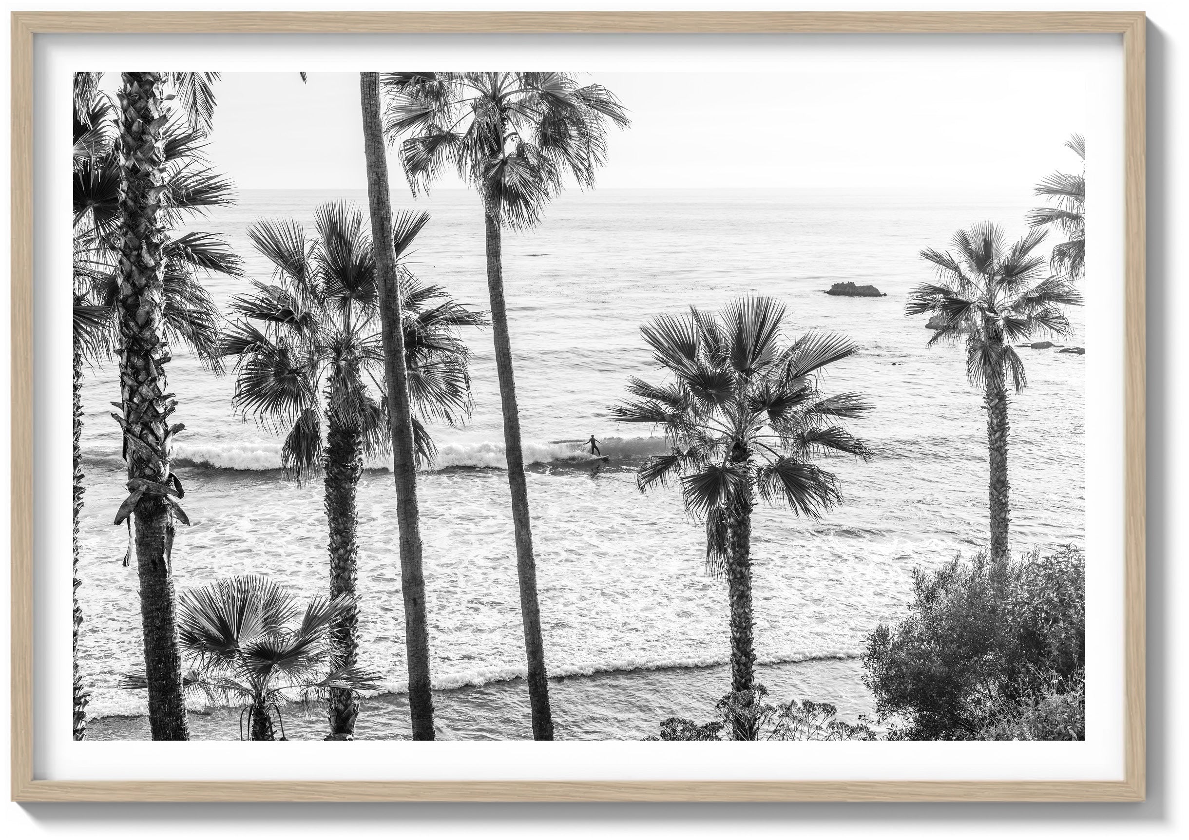 Laguna Horizon