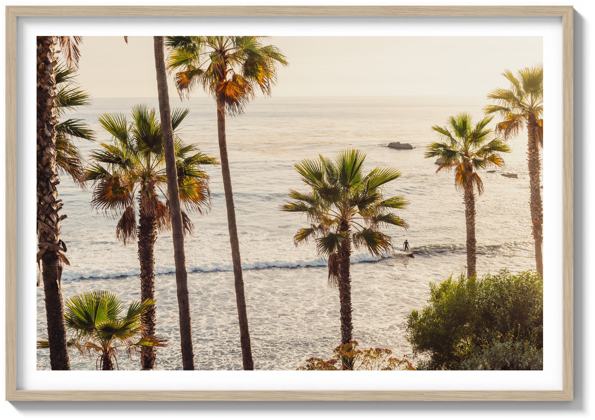 Sunlit Tide, Laguna