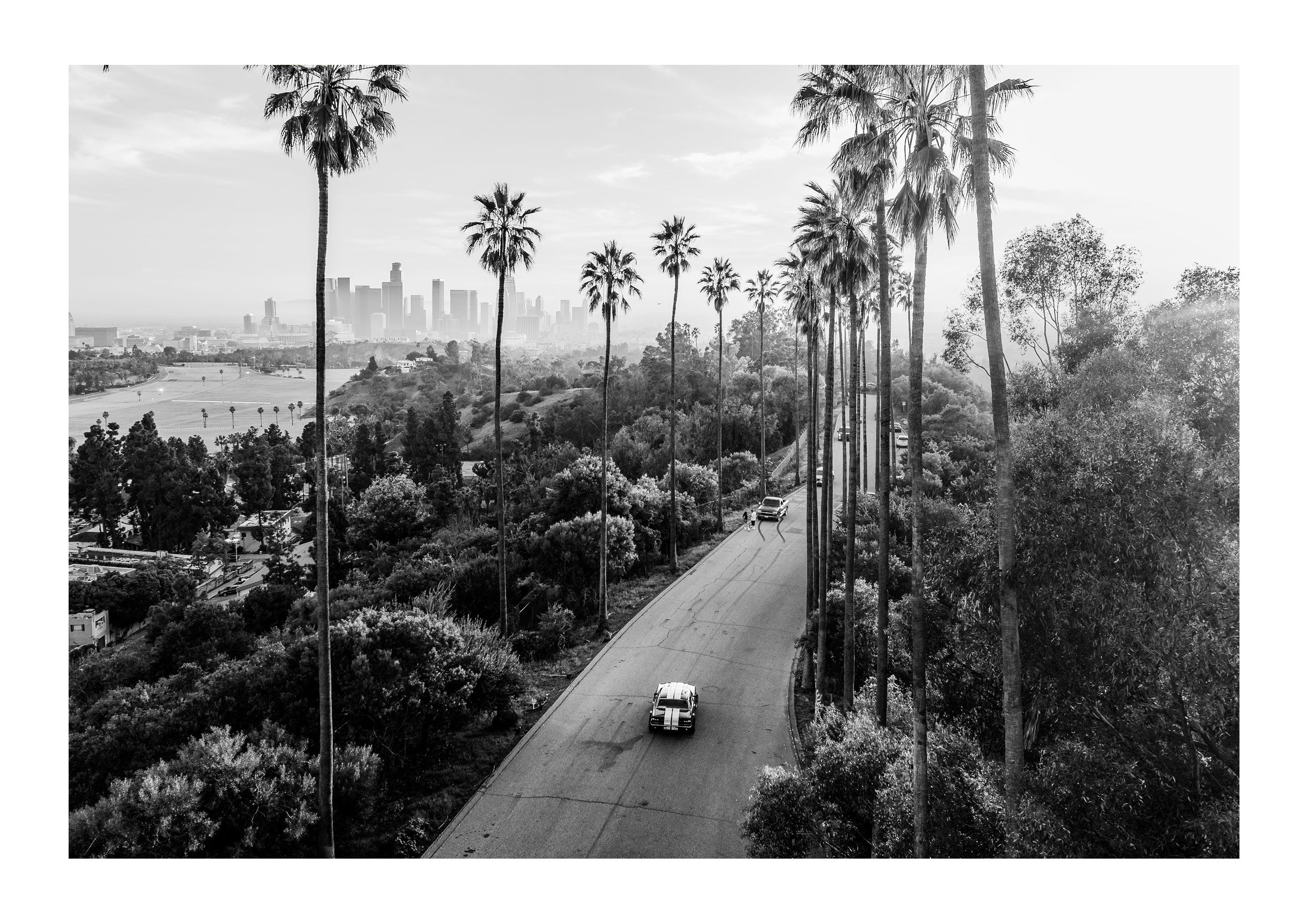 Dreaming of California