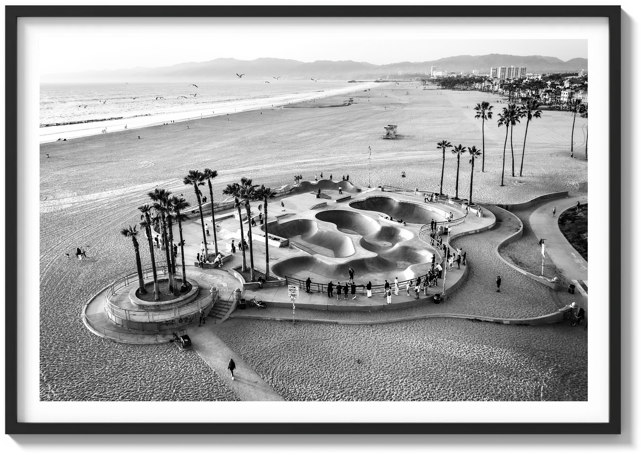 Skater's Paradise