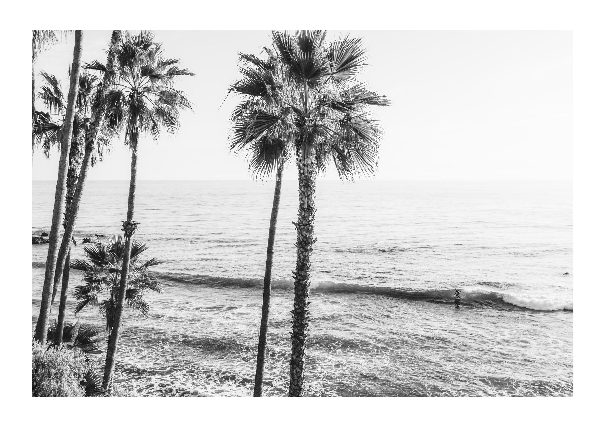 Rhythm of the Waves