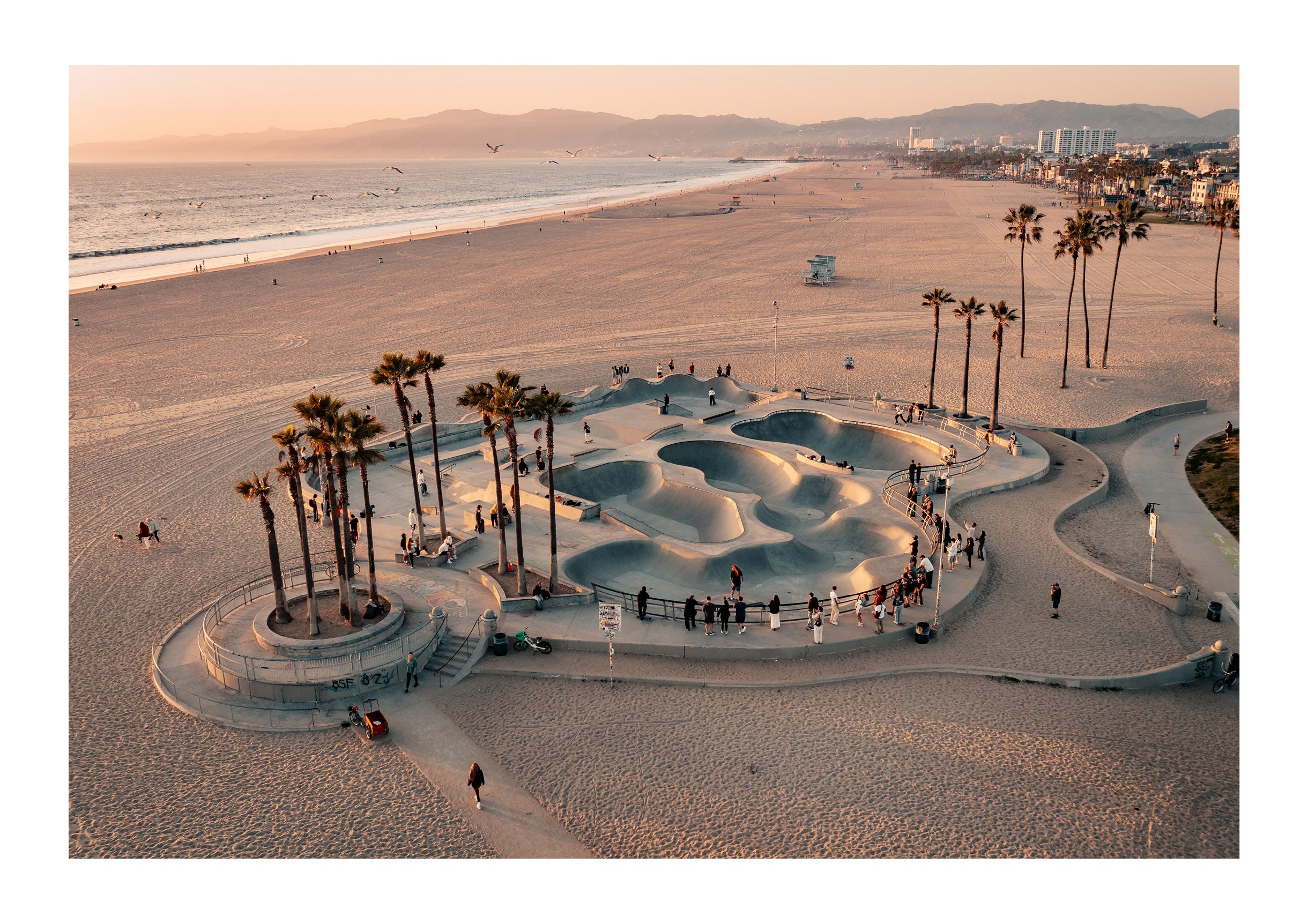 Skater's Paradise