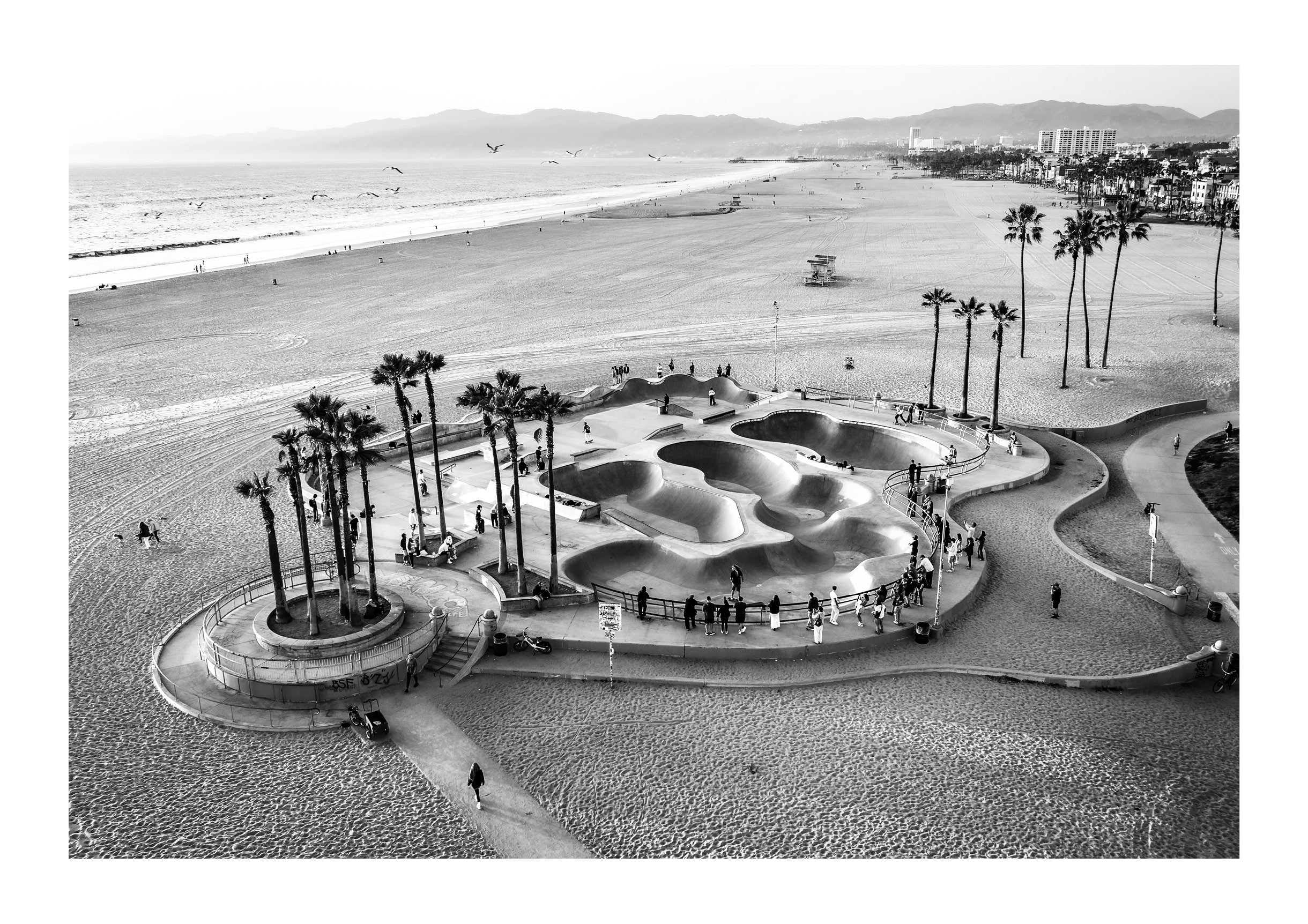 Skater's Paradise