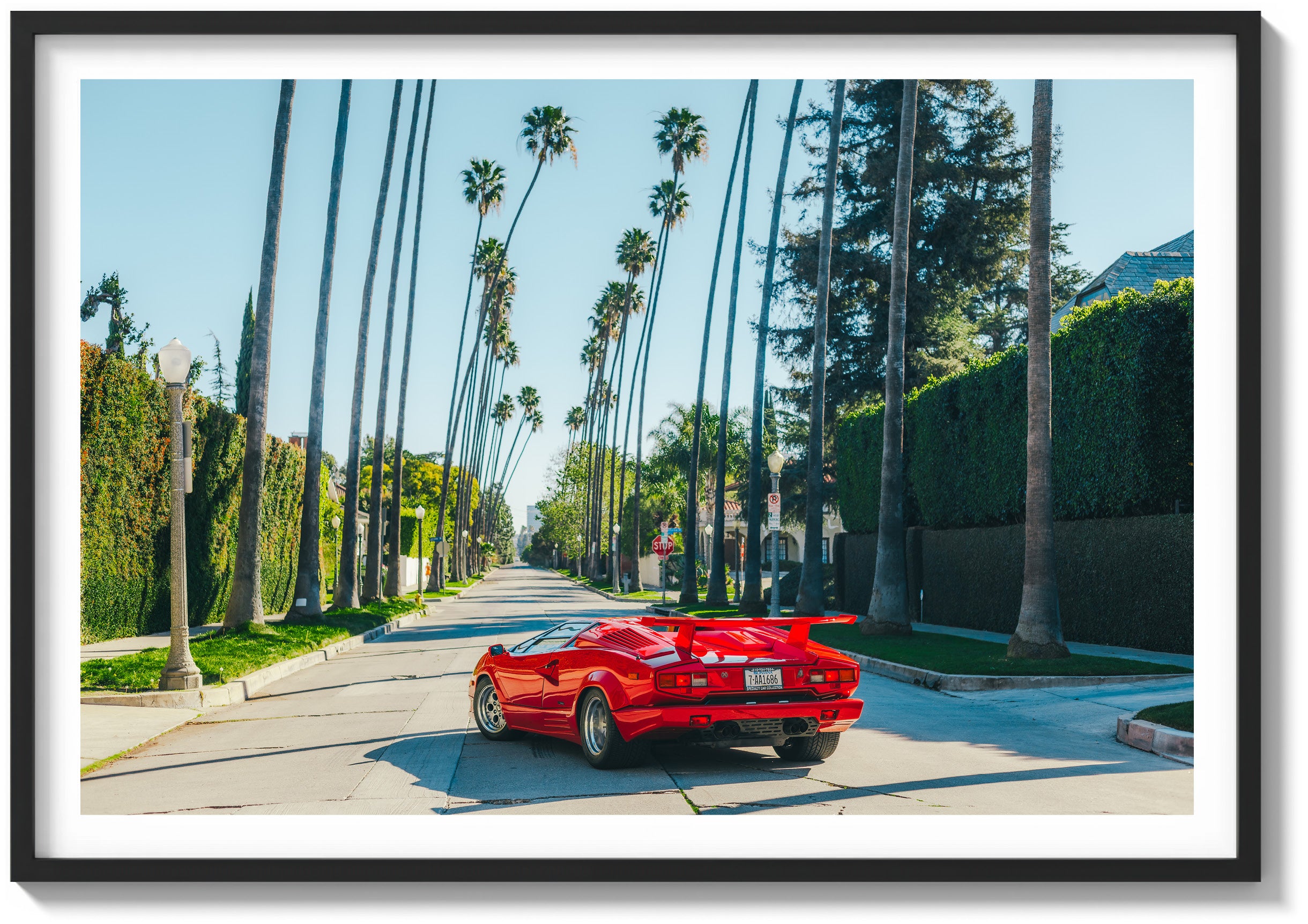 Beast of Beverly Hills