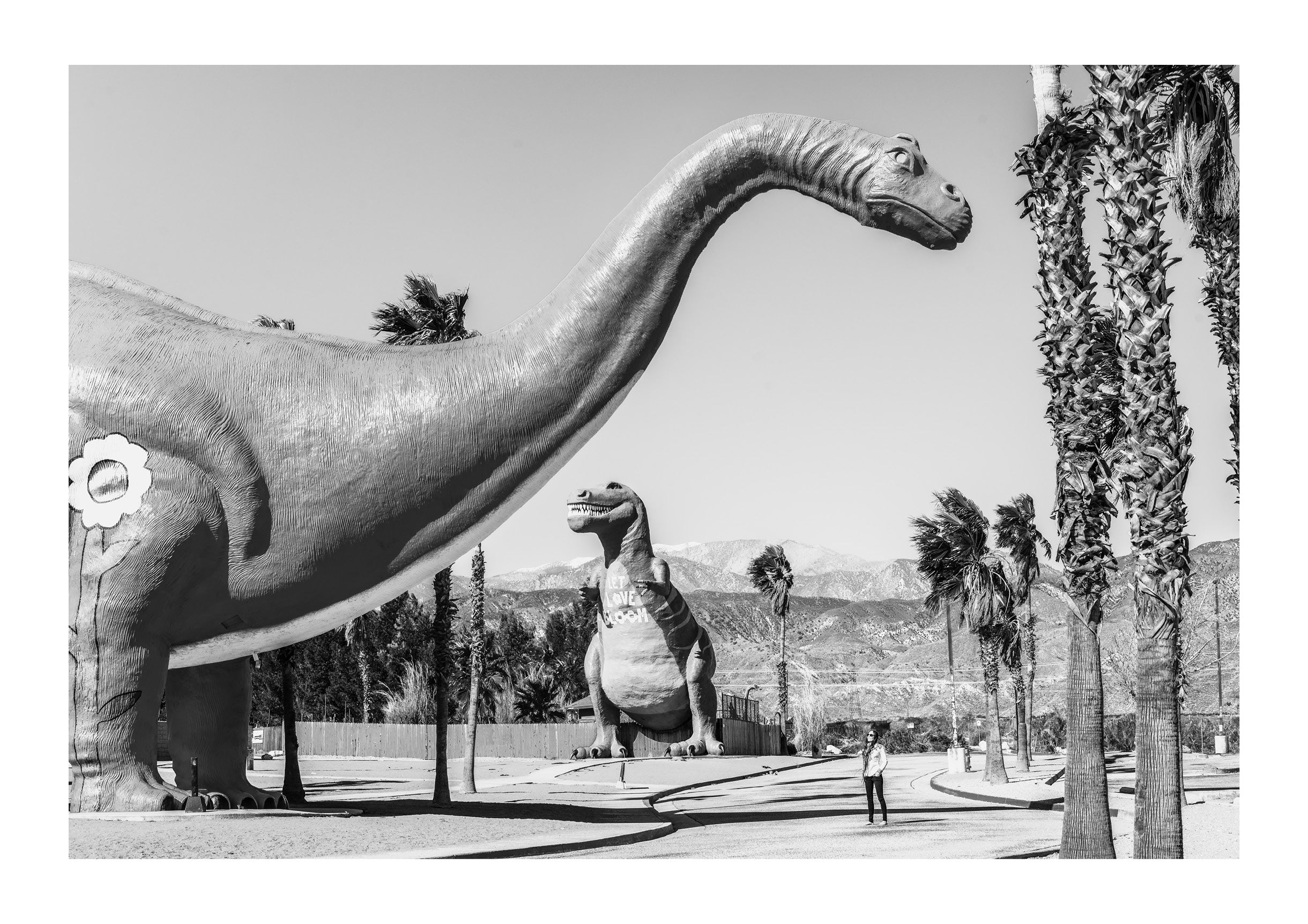 Pitstop in Cabazon