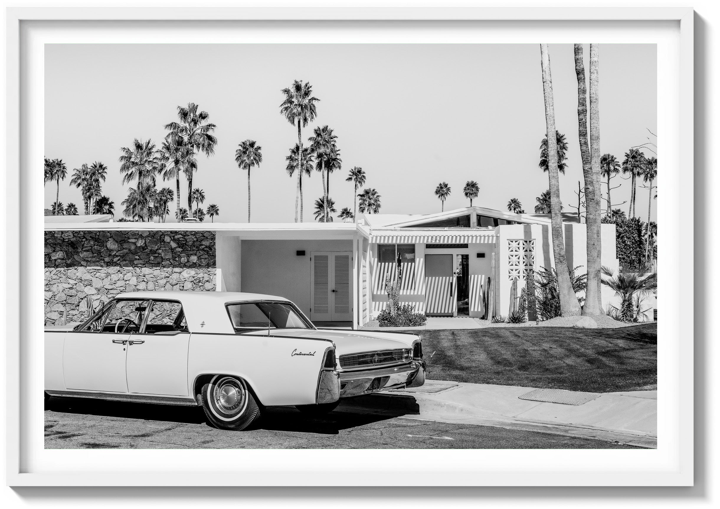 Mid-Century Magnificence