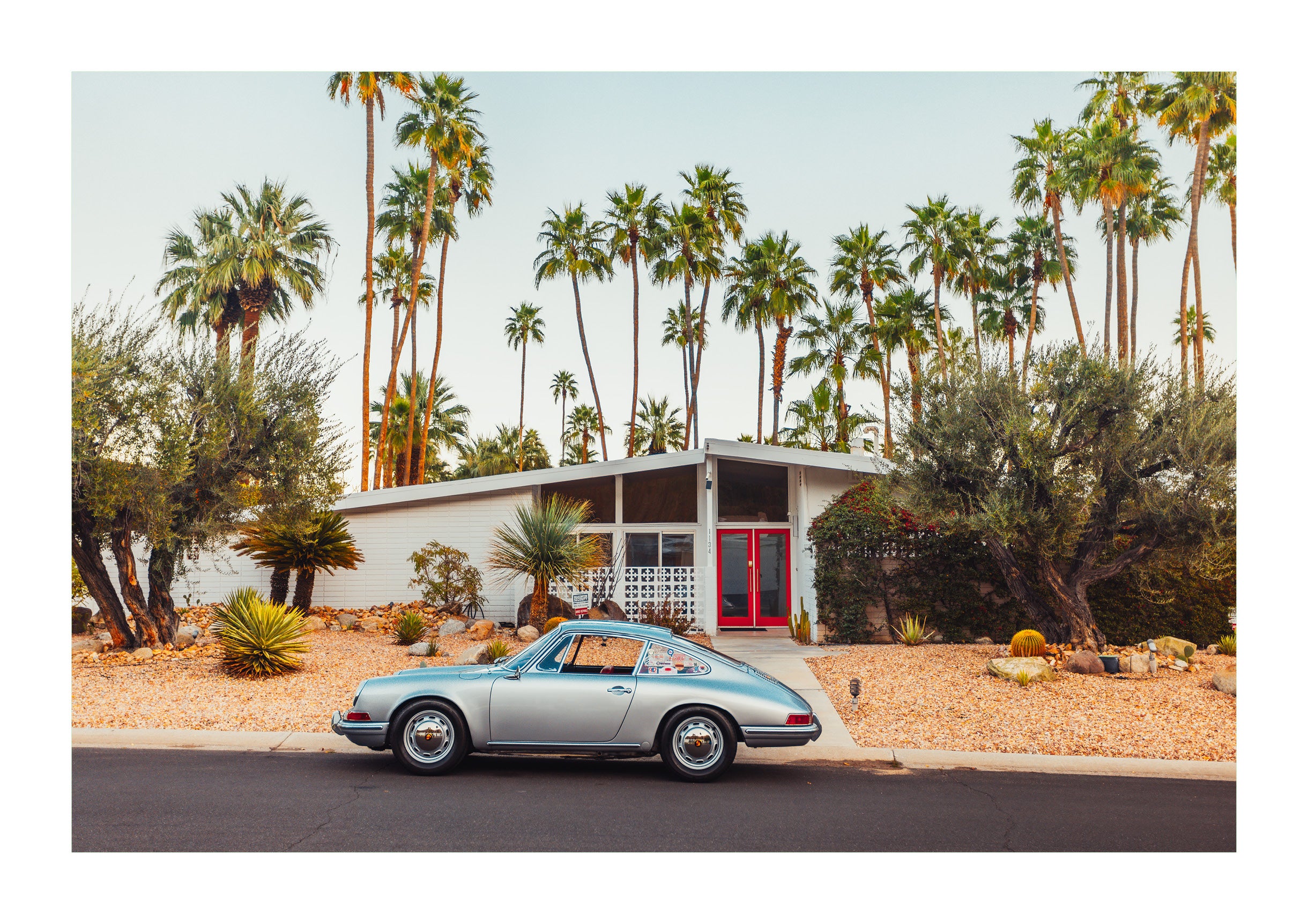 Mid-Century Oasis