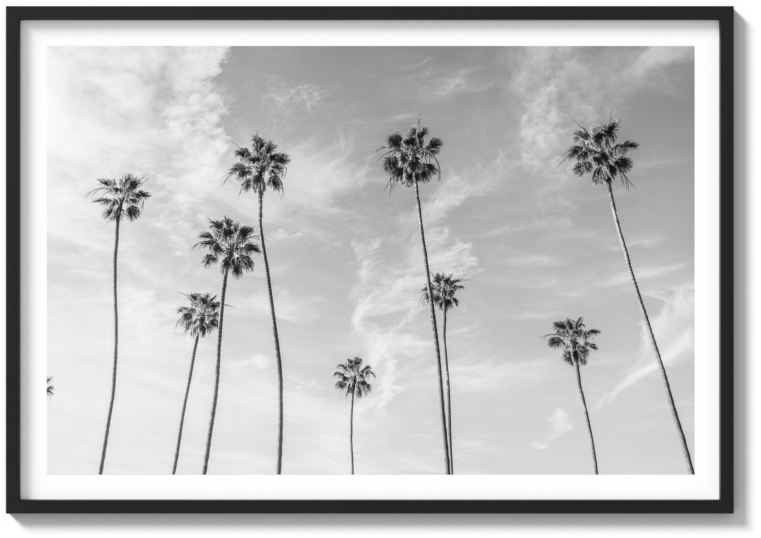 Reach For The Sky