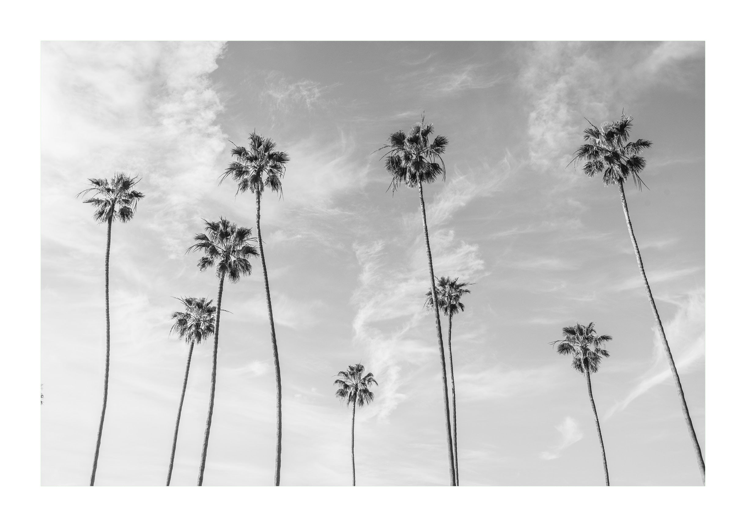 Reach For The Sky