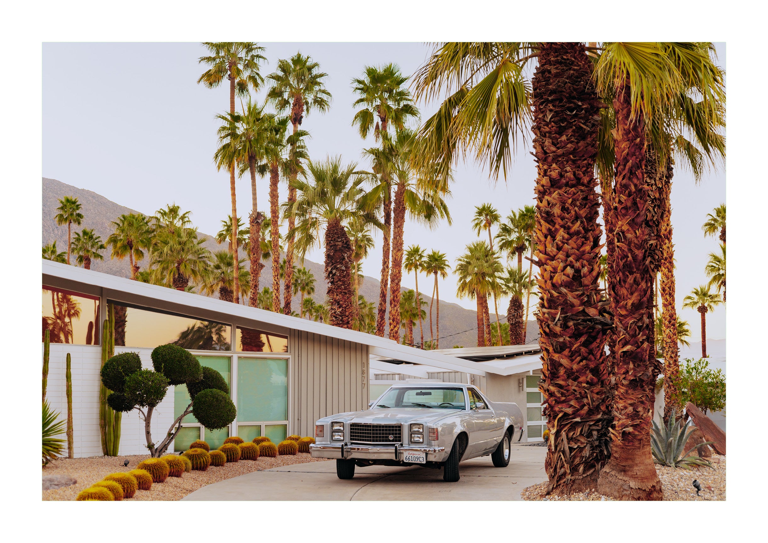 El Camino In The Desert
