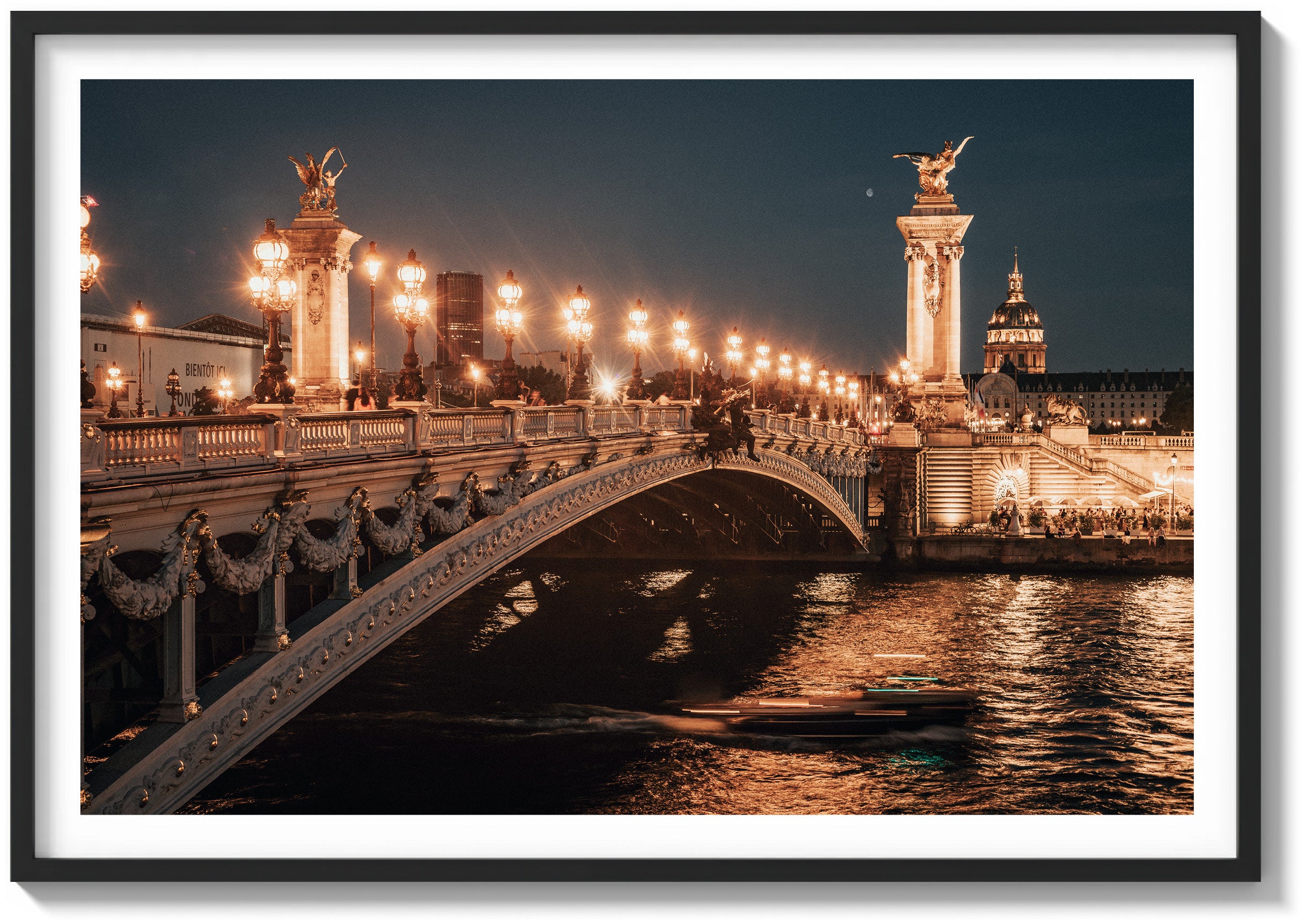 Ponte Alexandre & The Seine