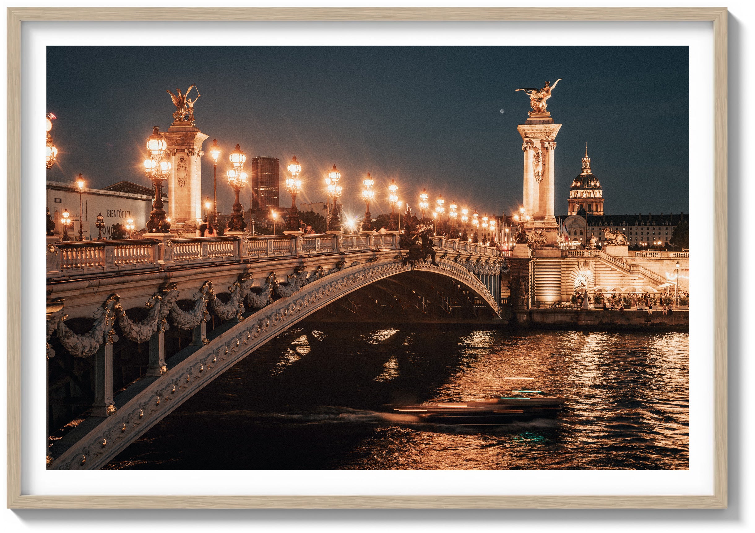 Ponte Alexandre & The Seine