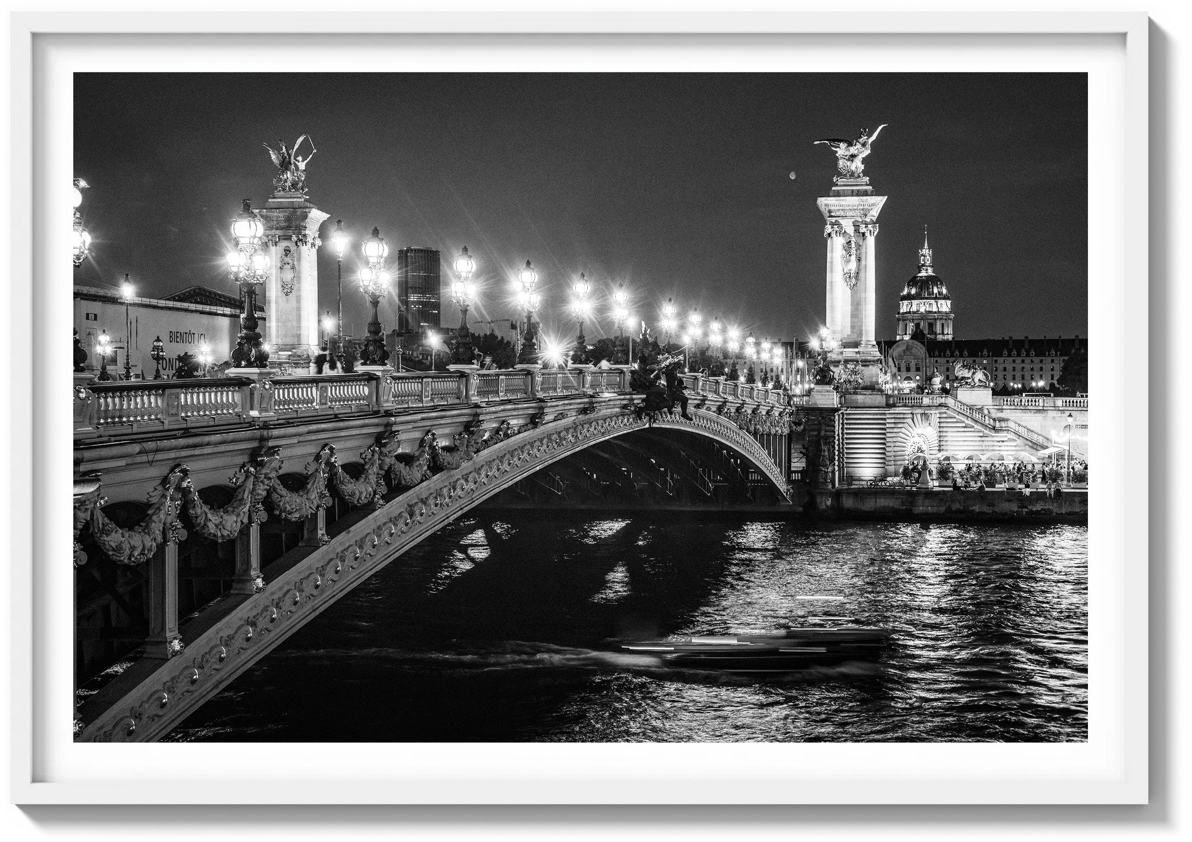 Ponte Alexandre & The Seine