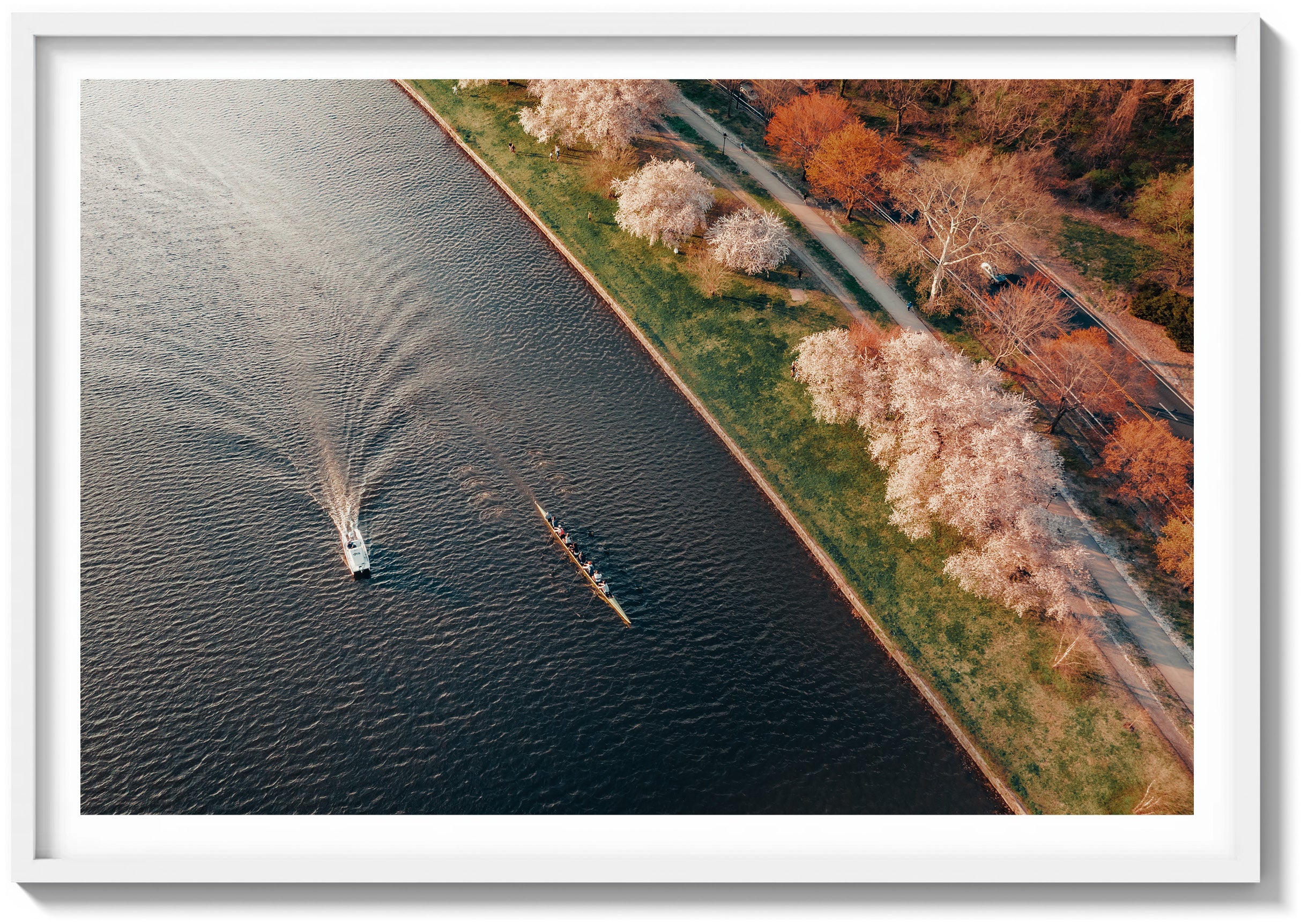 Springtime on the Schuylkill