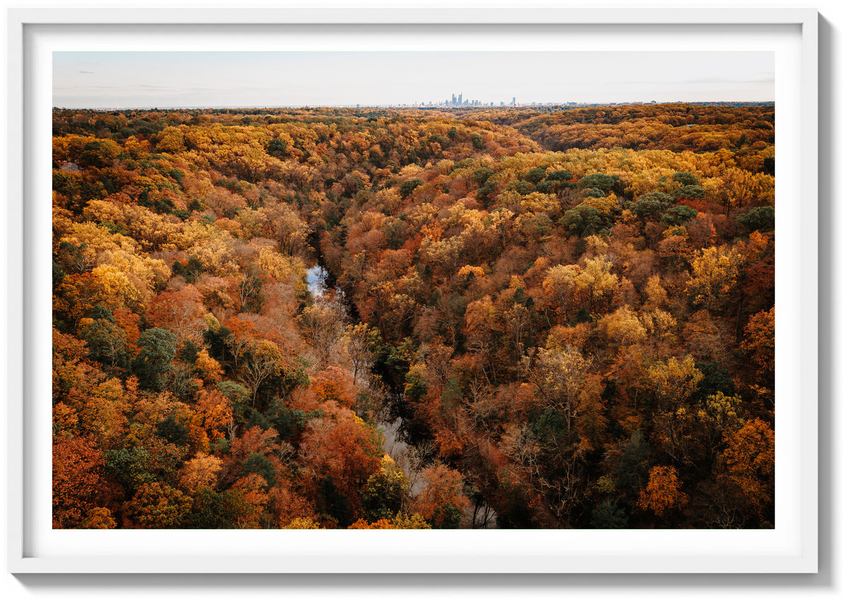 Wissahickon