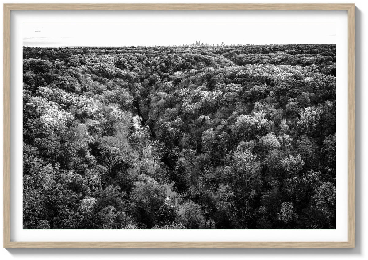 Wissahickon