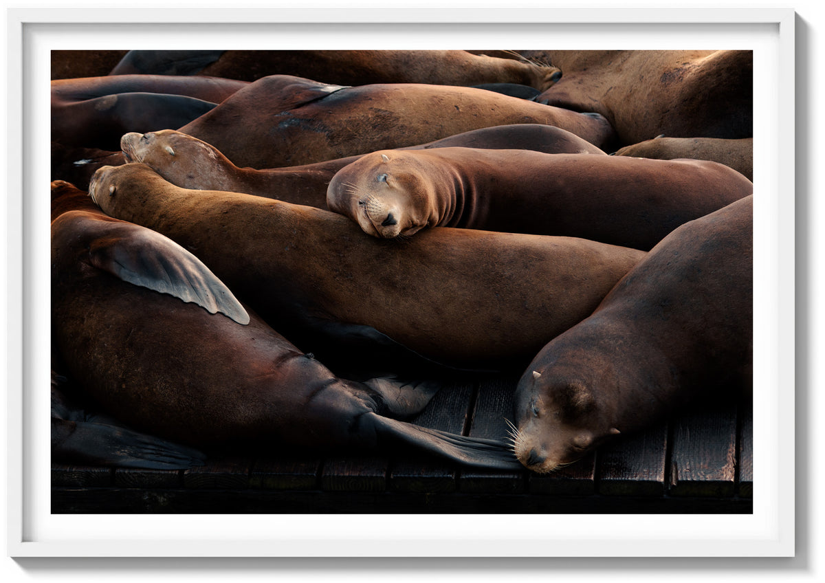 Sleeping Soundly