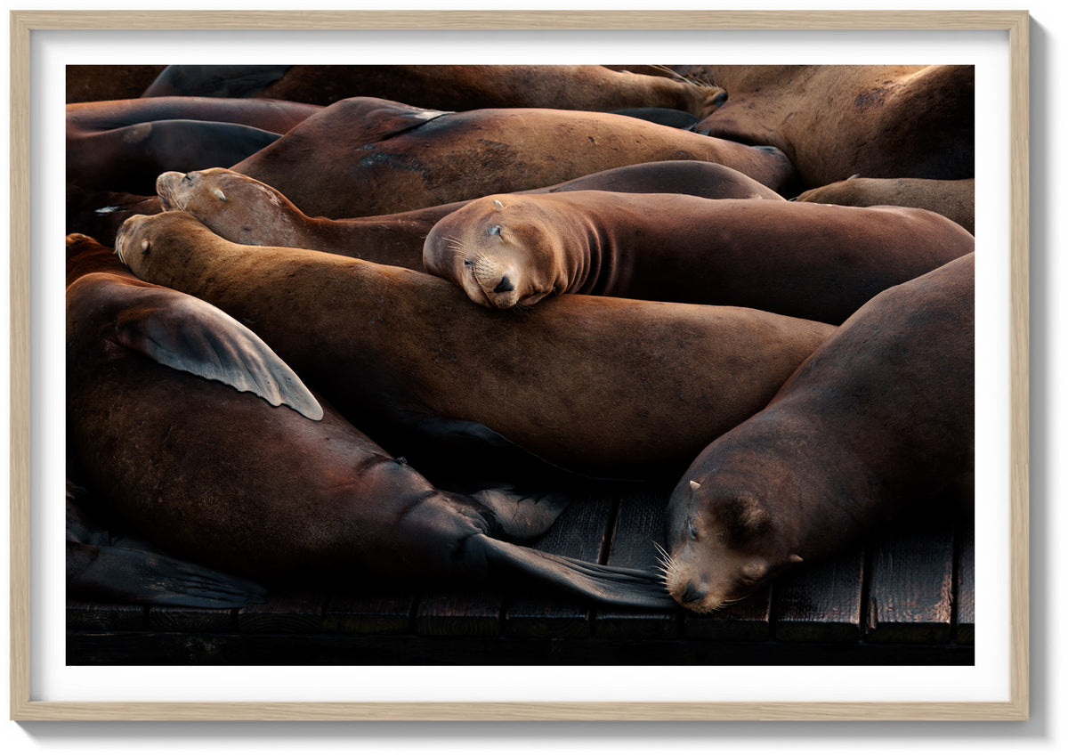 Sleeping Soundly