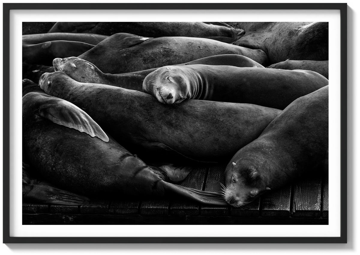 Sleeping Soundly