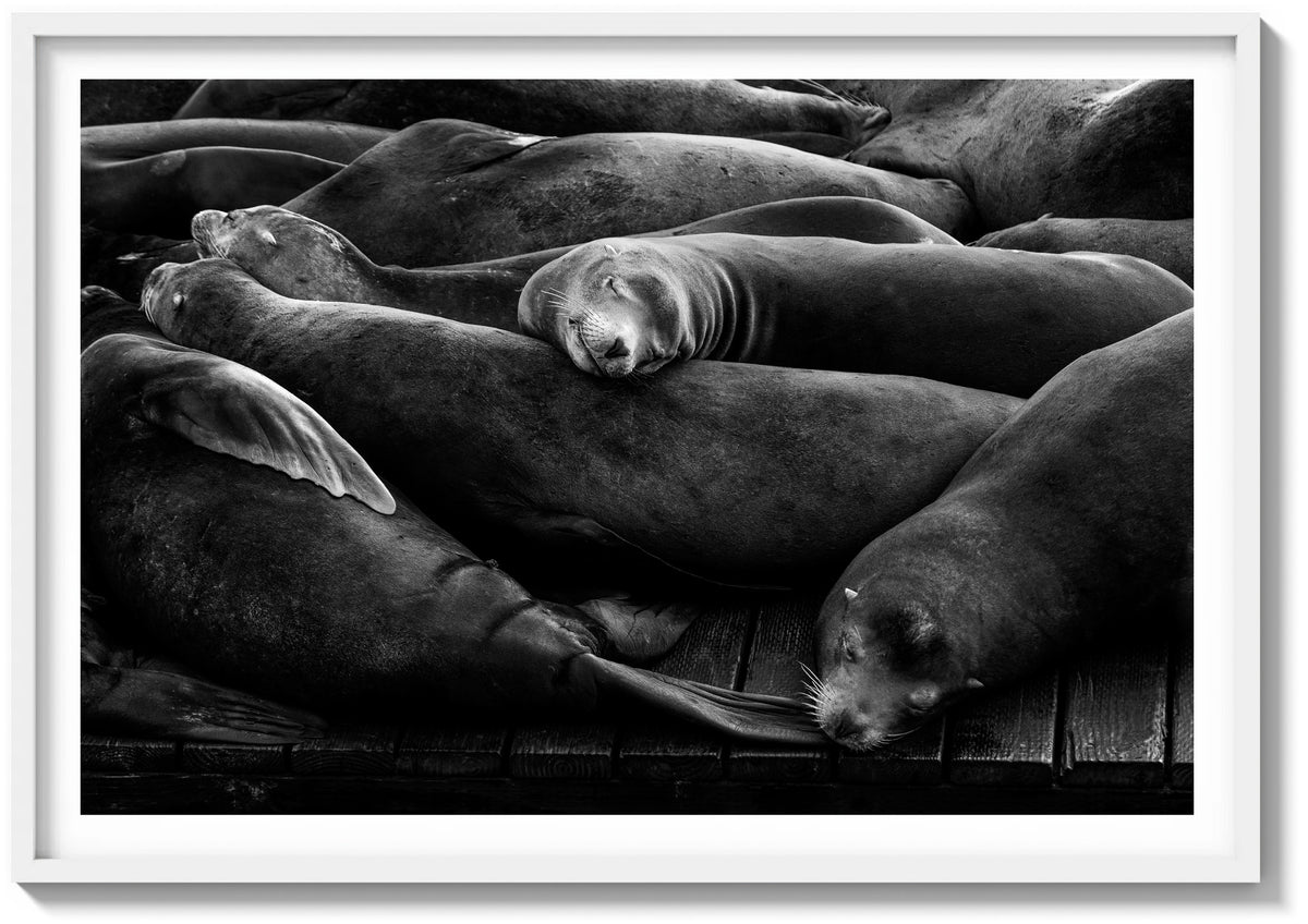 Sleeping Soundly