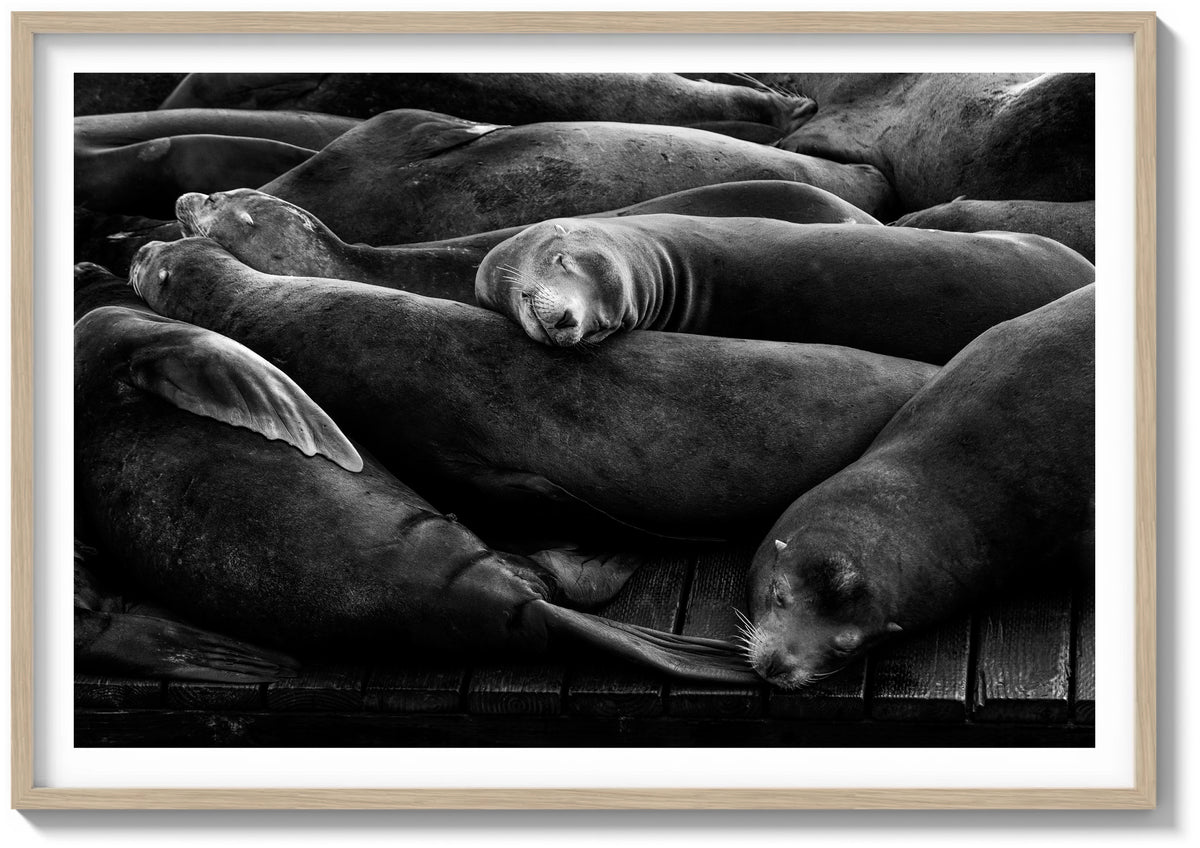 Sleeping Soundly