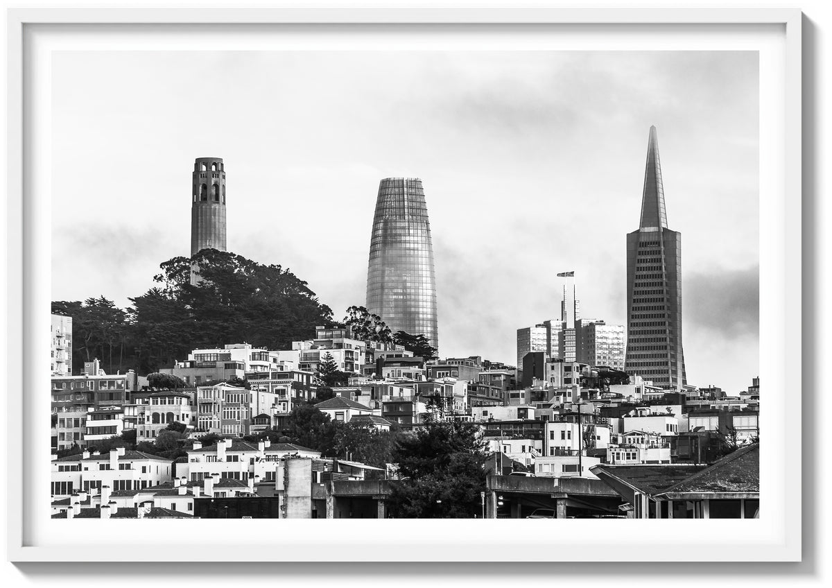 Bay Fog and the Towers