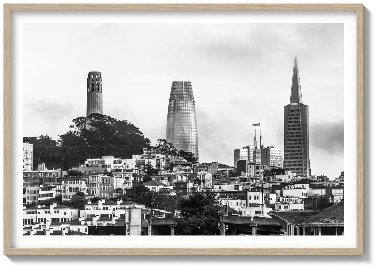 Bay Fog and the Towers