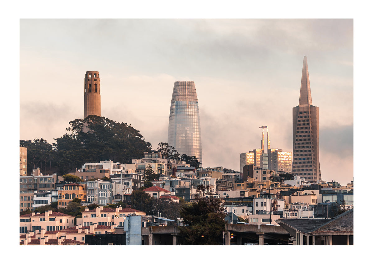 Bay Fog and the Towers