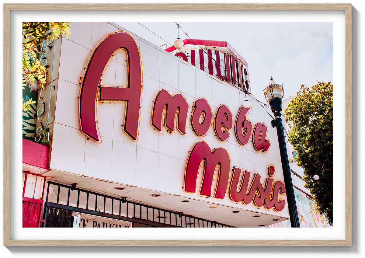 Amoeba Records