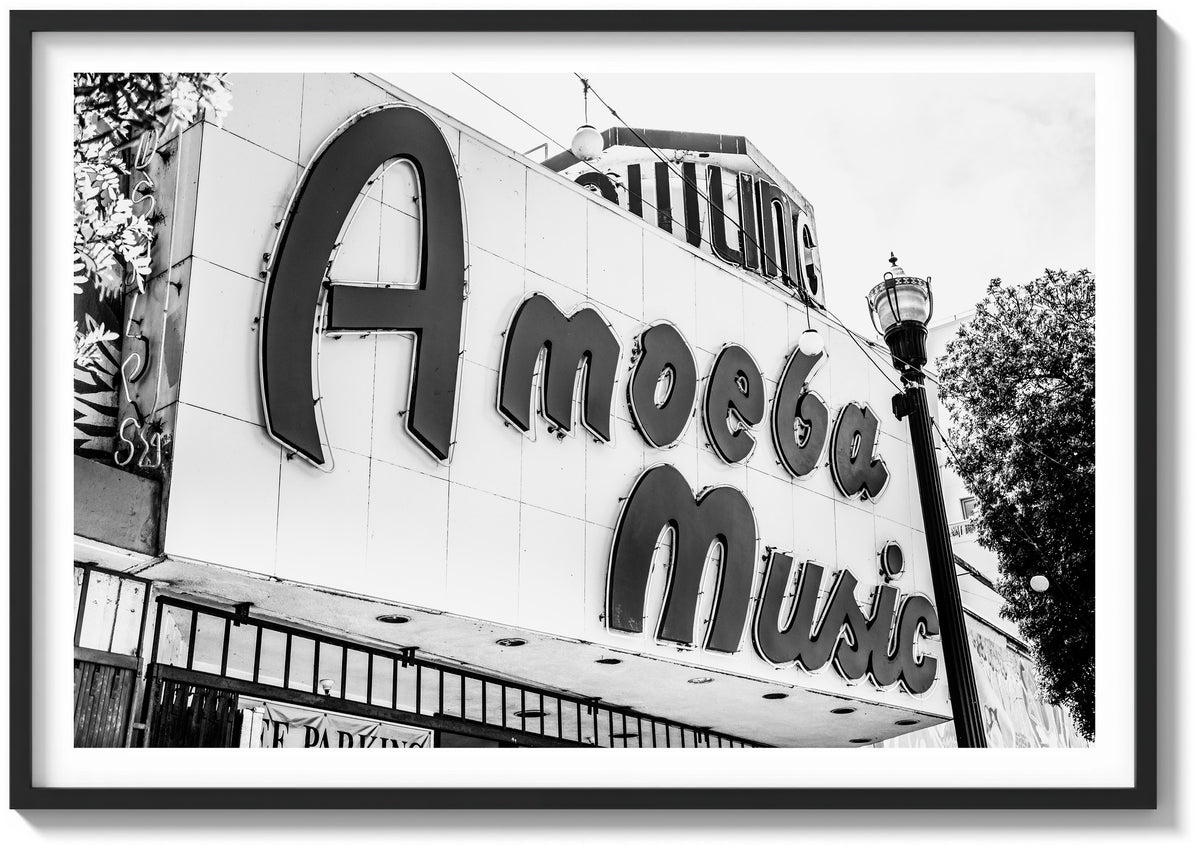 Amoeba Records
